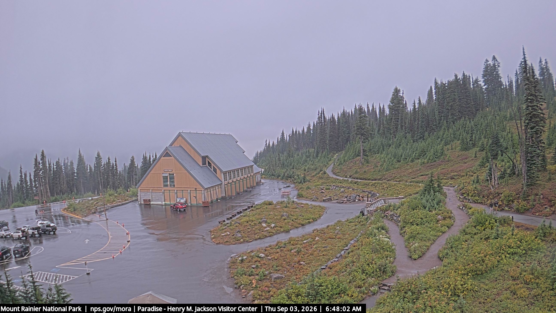 Jackson Visitor Center webcam frame at Paradise on Mount Rainier.