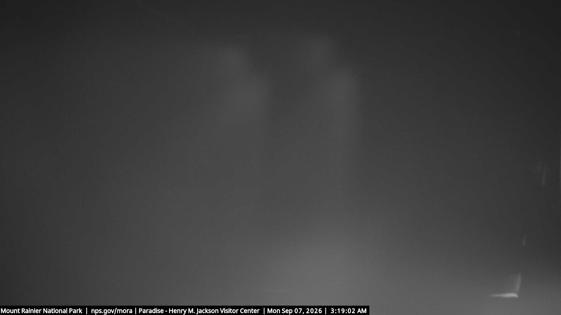 Jackson Visitor Center webcam frame at Paradise on Mount Rainier.