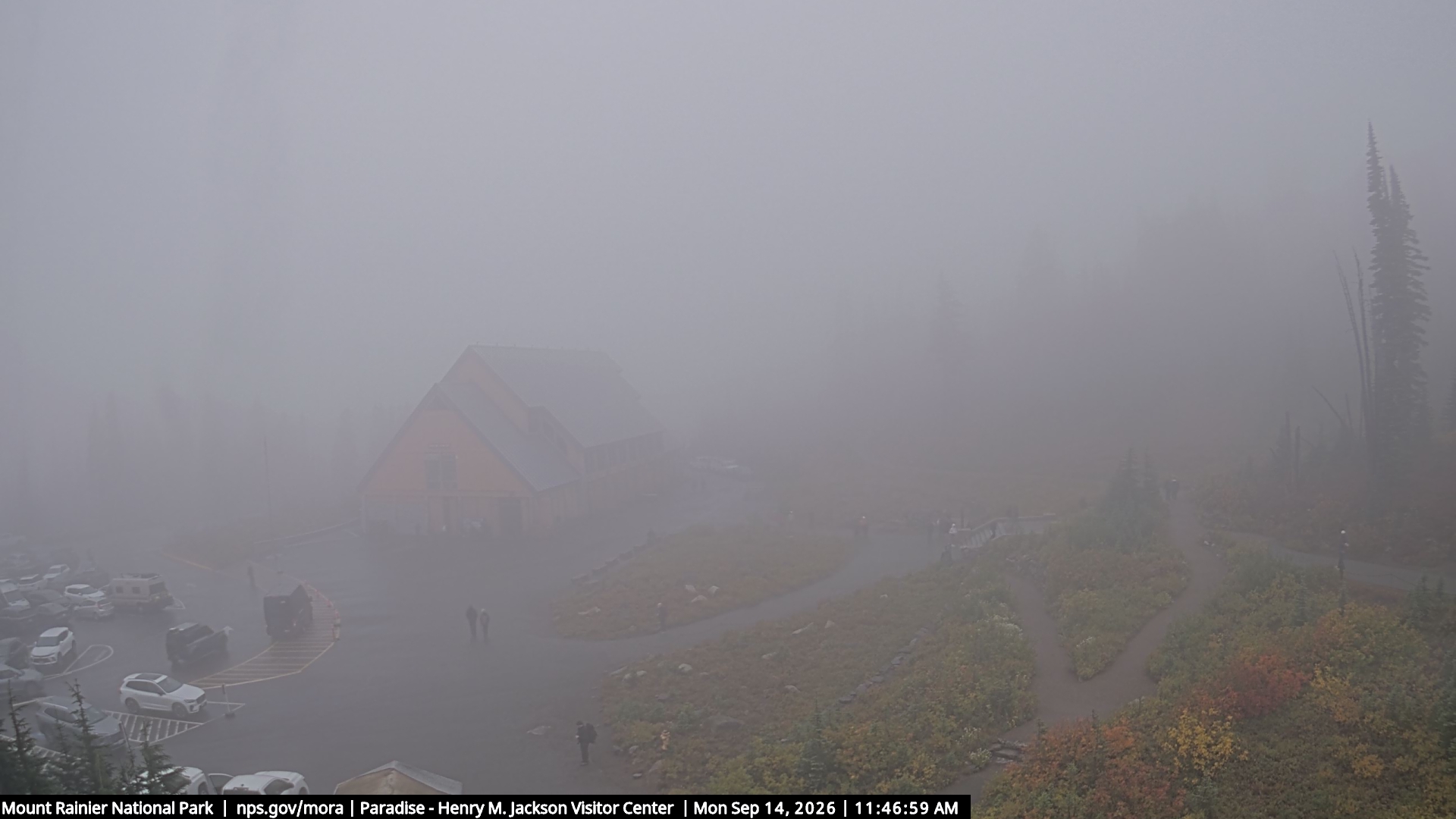 Jackson Visitor Center webcam frame at Paradise on Mount Rainier.