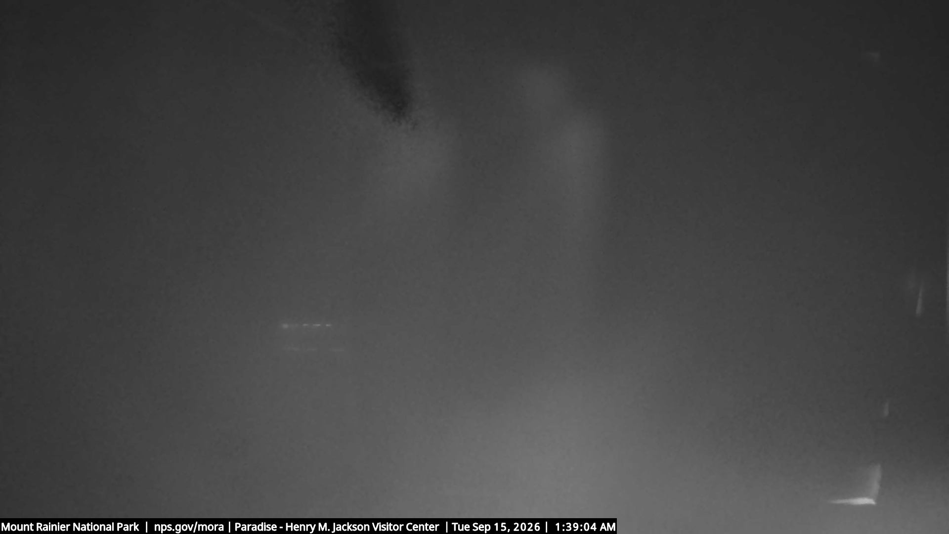 Jackson Visitor Center webcam frame at Paradise on Mount Rainier.