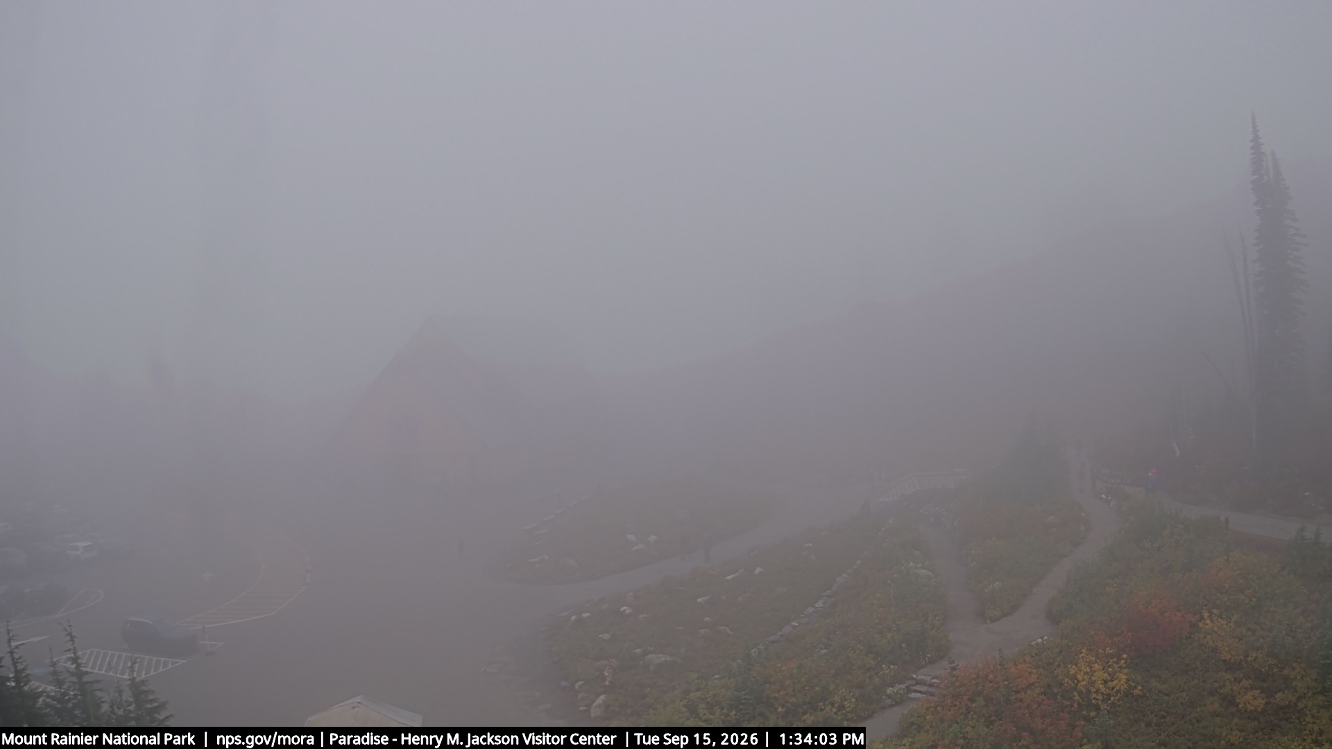 Jackson Visitor Center webcam frame at Paradise on Mount Rainier.