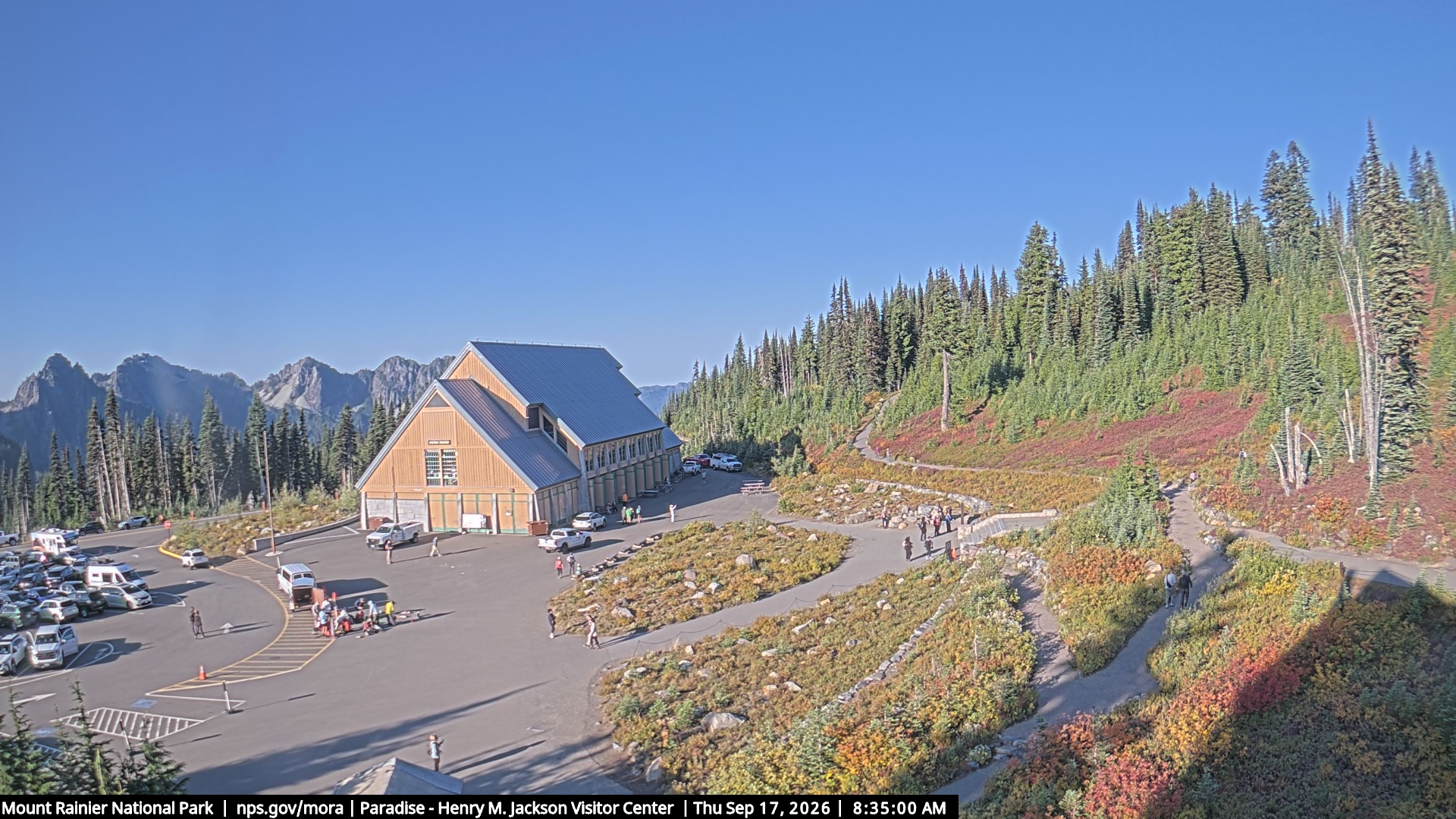 Jackson Visitor Center webcam frame at Paradise on Mount Rainier.