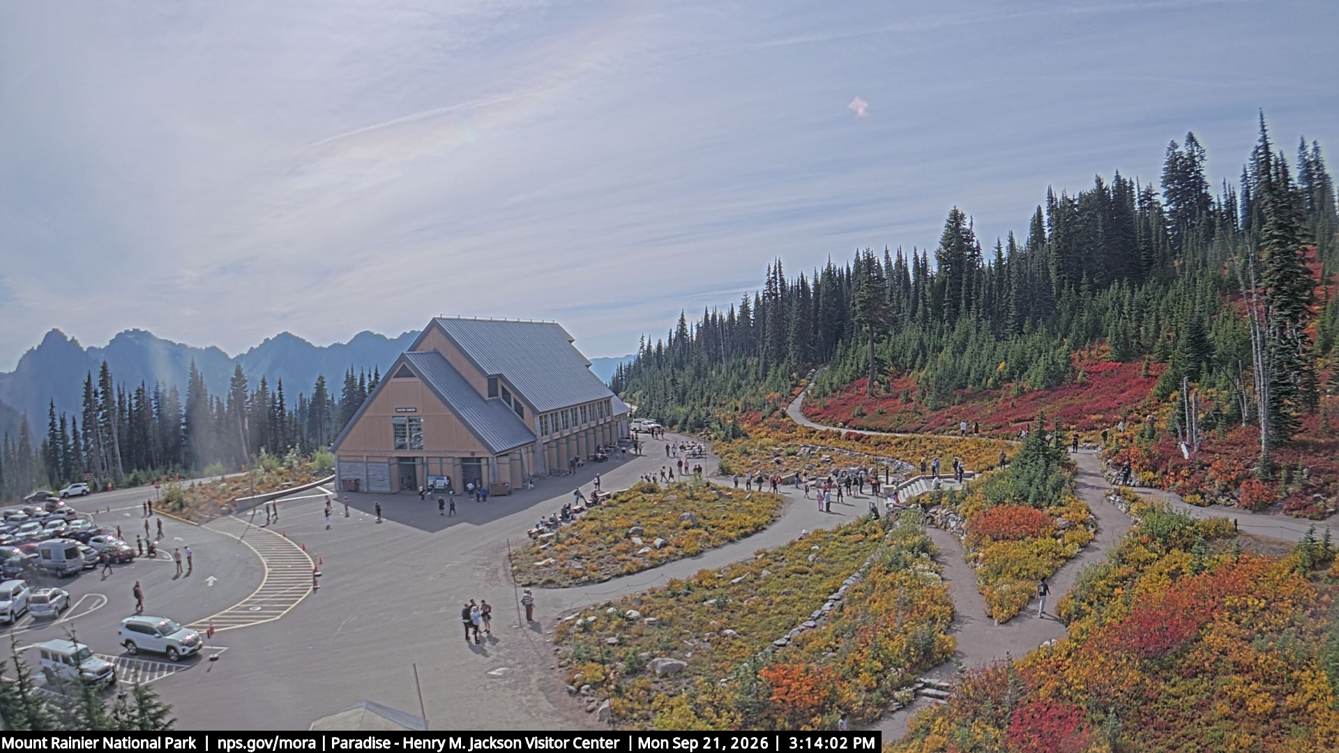 Jackson Visitor Center webcam frame at Paradise on Mount Rainier.