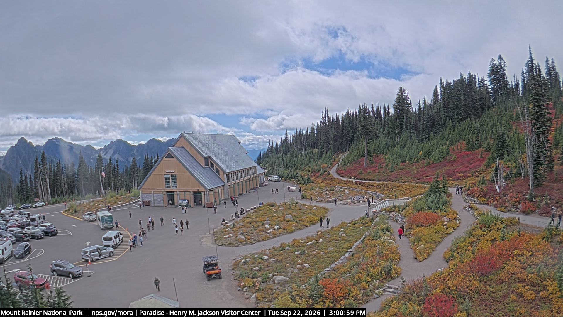 Jackson Visitor Center webcam frame at Paradise on Mount Rainier.