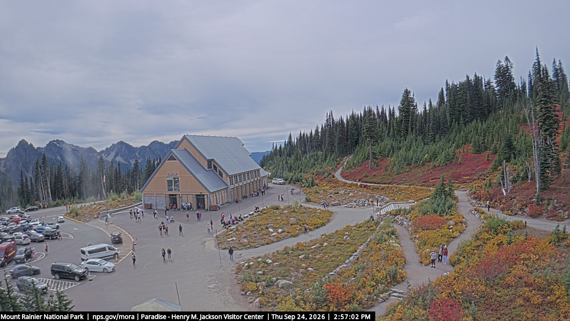 Jackson Visitor Center webcam frame at Paradise on Mount Rainier.