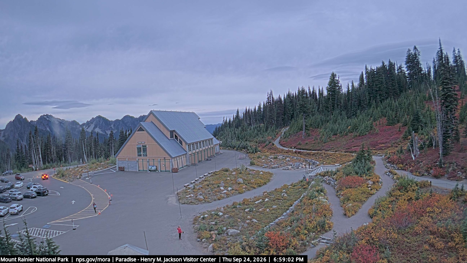 Jackson Visitor Center webcam frame at Paradise on Mount Rainier.