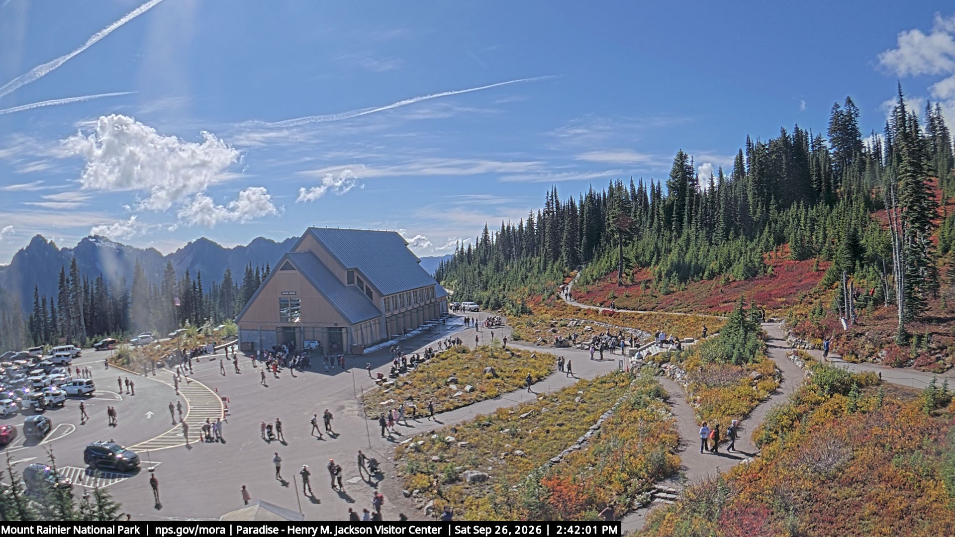 Jackson Visitor Center webcam frame at Paradise on Mount Rainier.