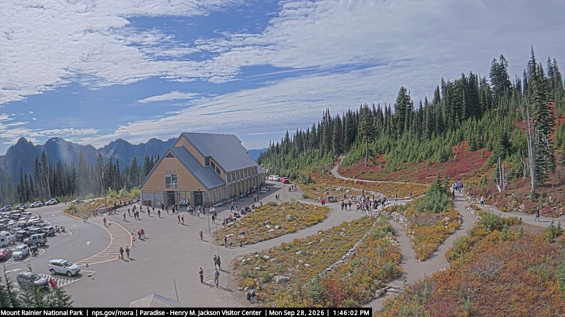 Jackson Visitor Center webcam frame at Paradise on Mount Rainier.
