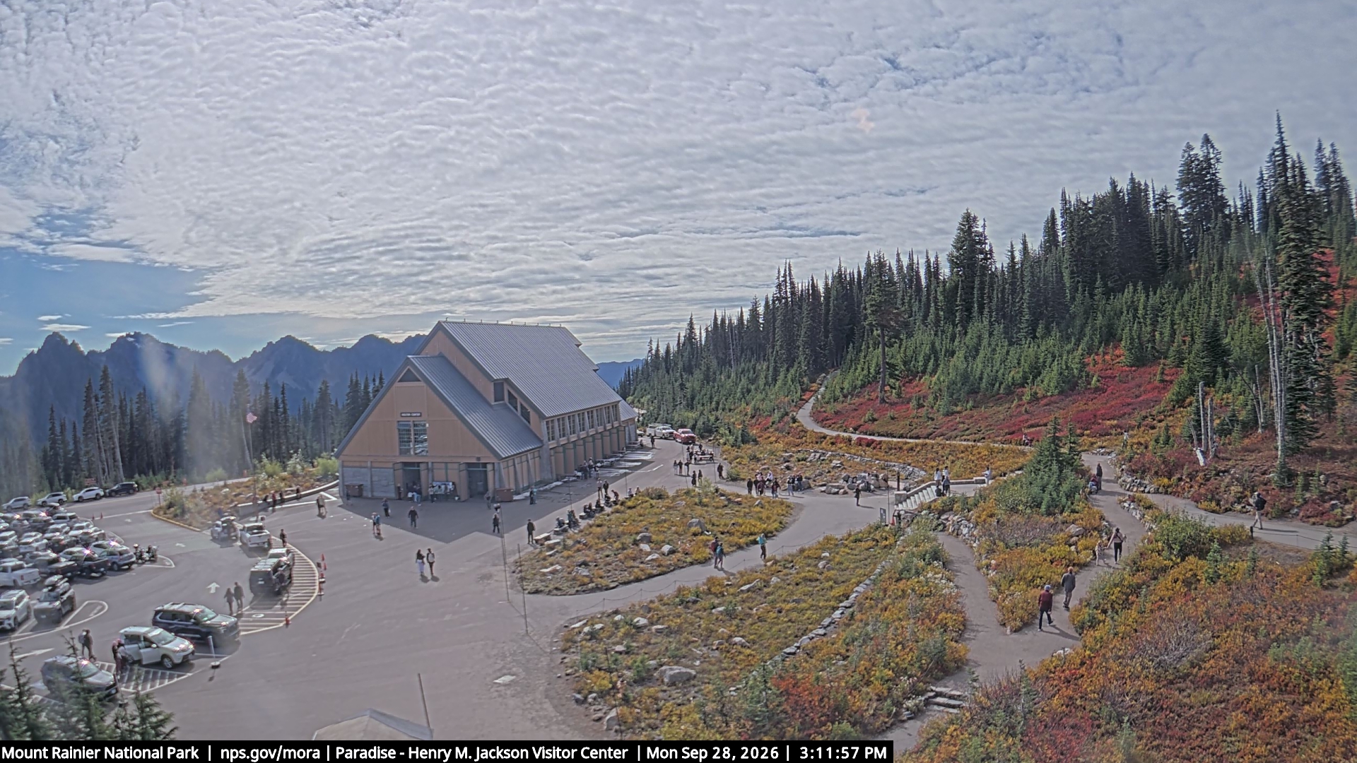 Jackson Visitor Center webcam frame at Paradise on Mount Rainier.
