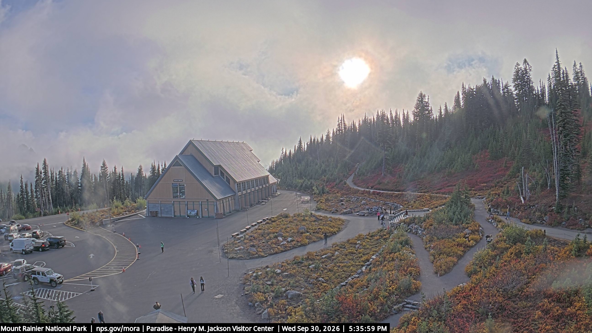 Jackson Visitor Center webcam frame at Paradise on Mount Rainier.