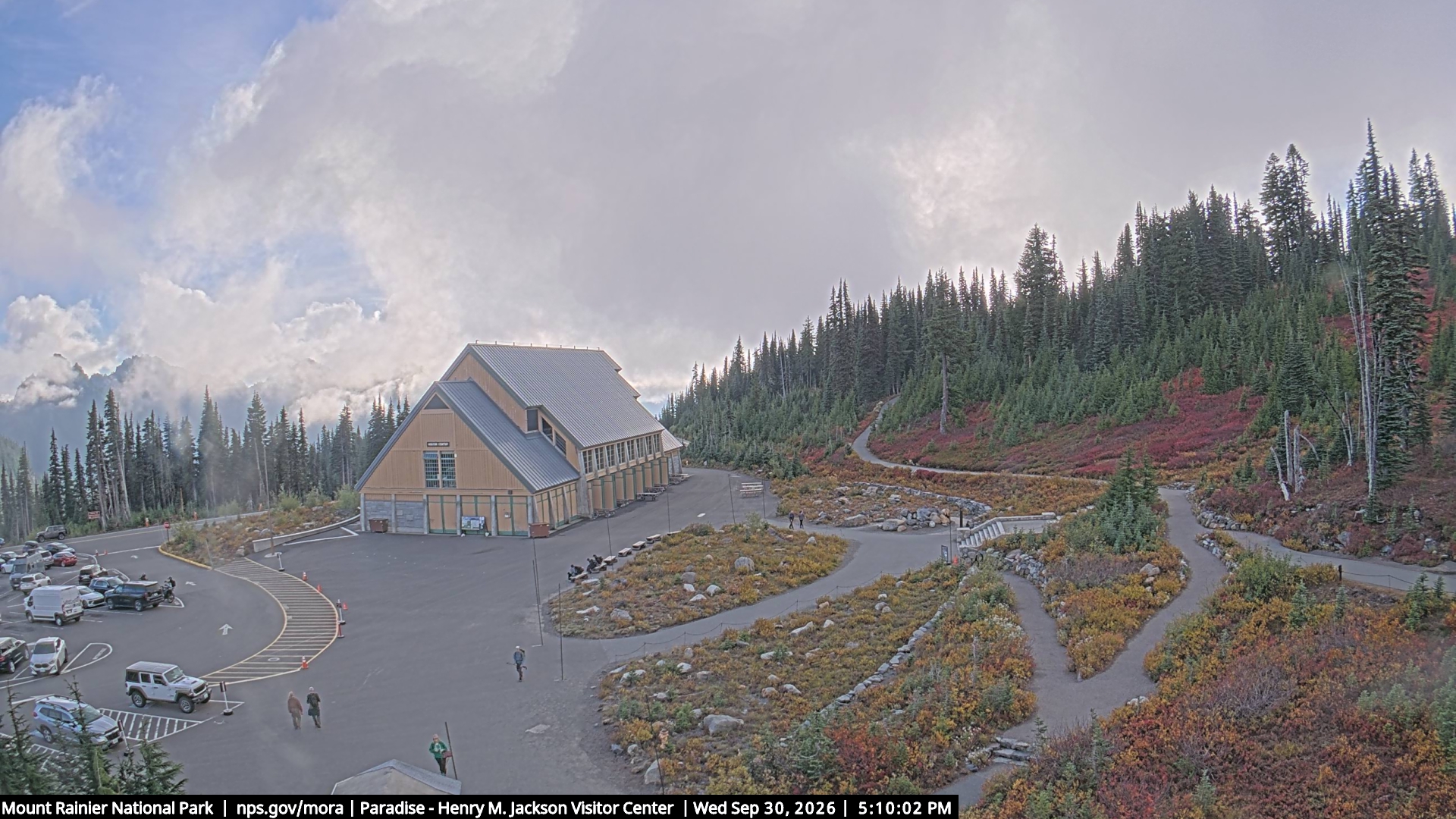 Jackson Visitor Center webcam frame at Paradise on Mount Rainier.
