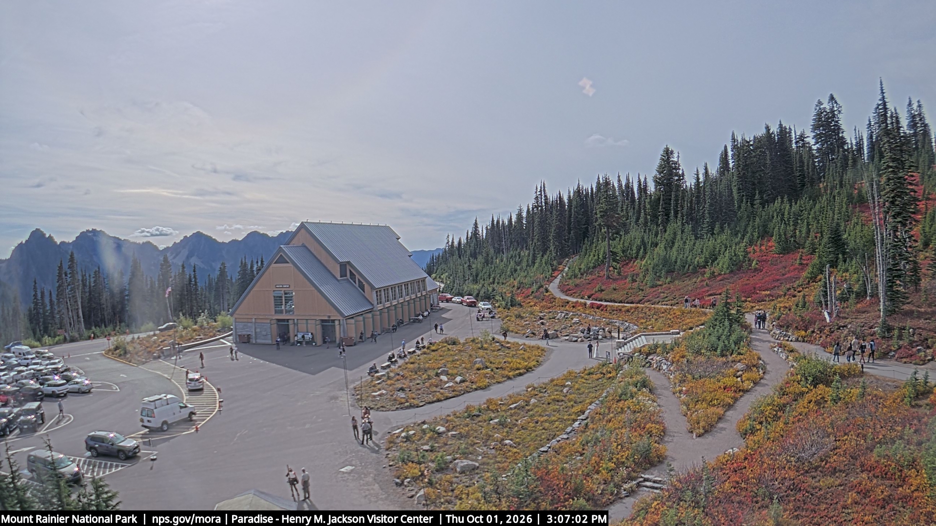 Jackson Visitor Center webcam frame at Paradise on Mount Rainier.