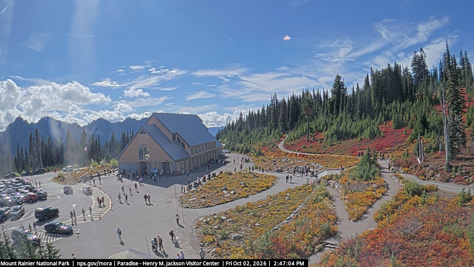 Jackson Visitor Center webcam frame at Paradise on Mount Rainier.