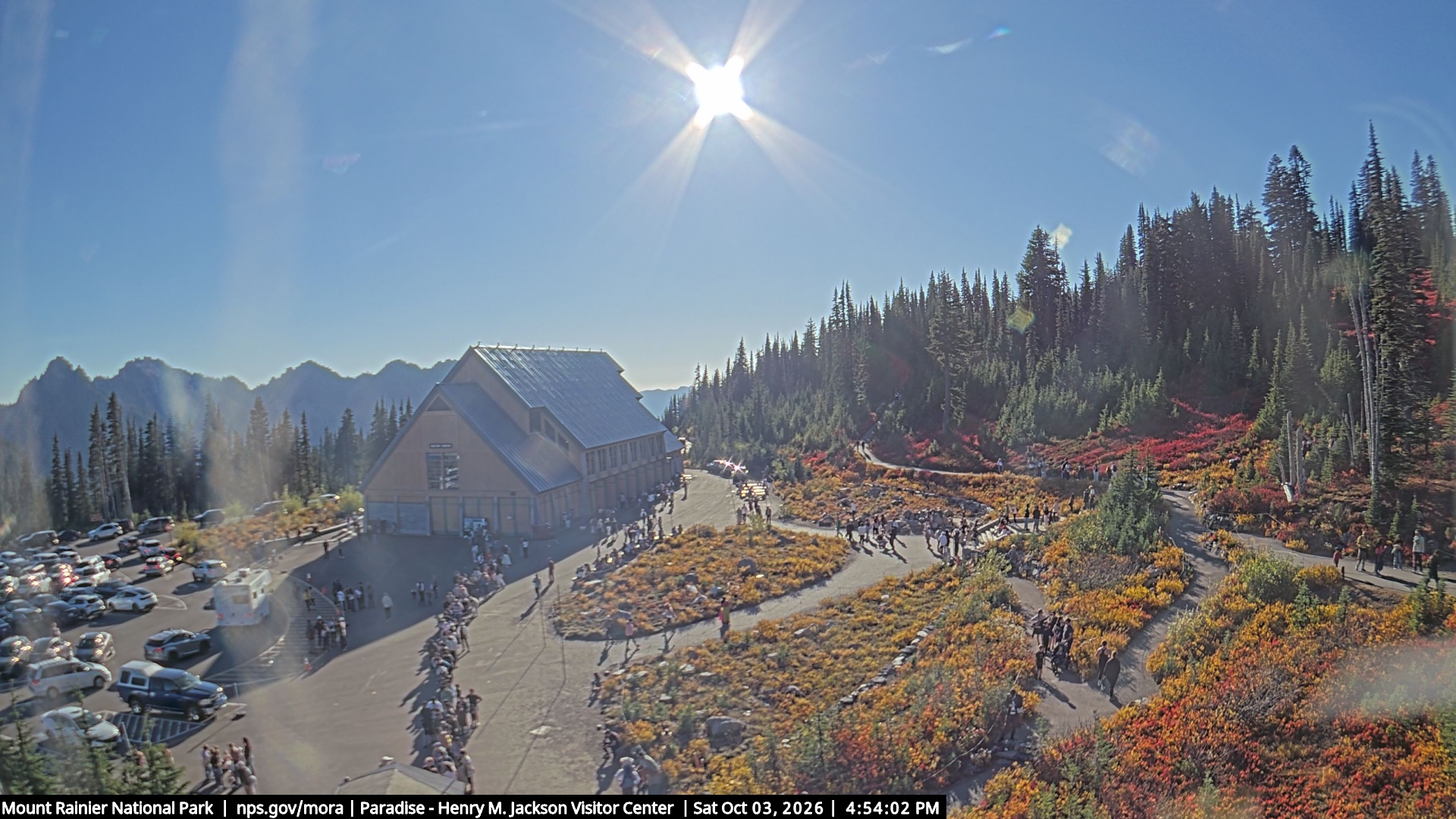 Jackson Visitor Center webcam frame at Paradise on Mount Rainier.