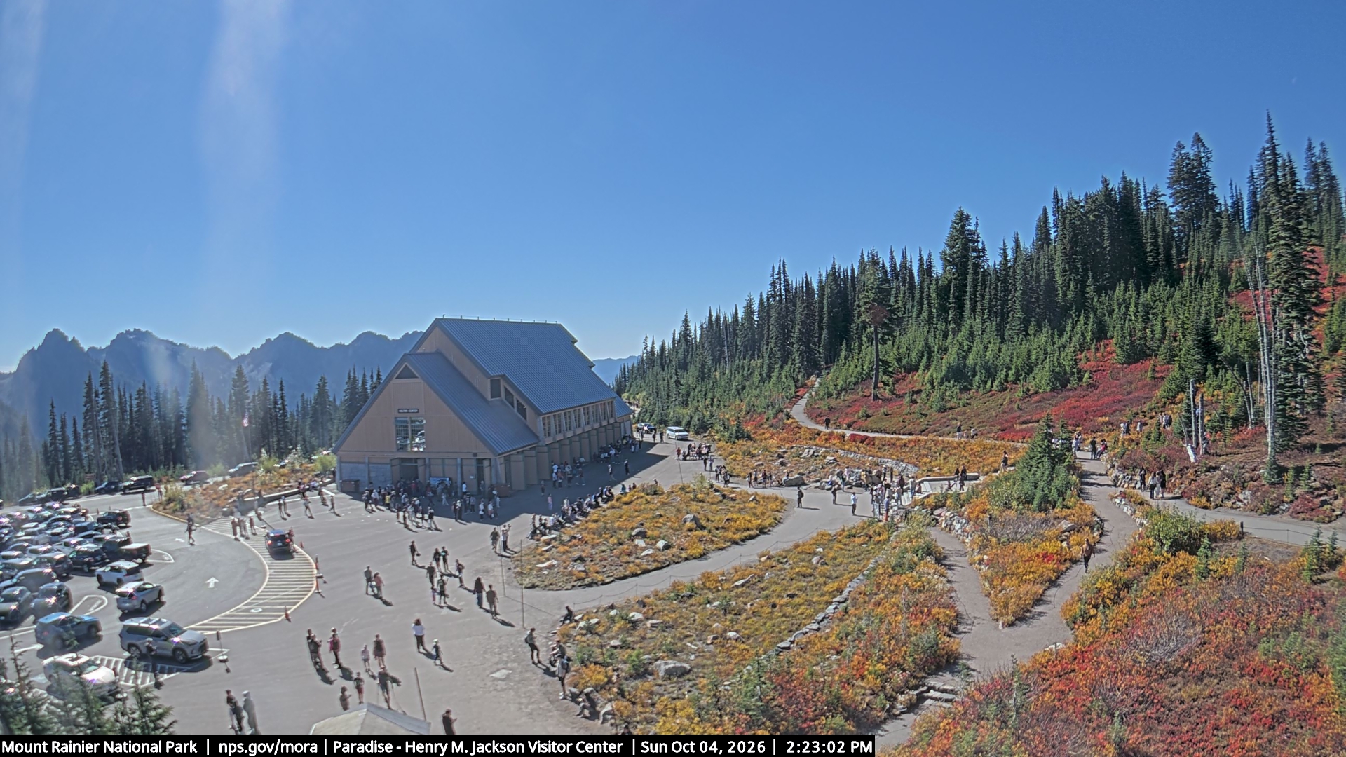 Jackson Visitor Center webcam frame at Paradise on Mount Rainier.