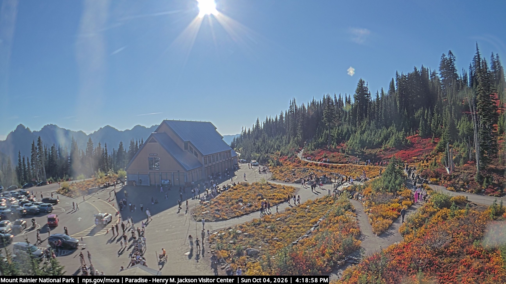 Jackson Visitor Center webcam frame at Paradise on Mount Rainier.