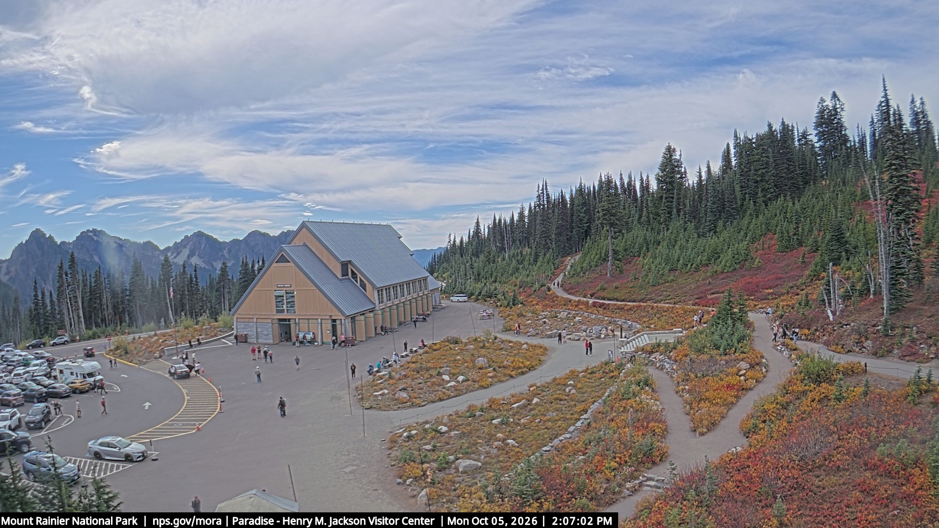 Jackson Visitor Center webcam frame at Paradise on Mount Rainier.