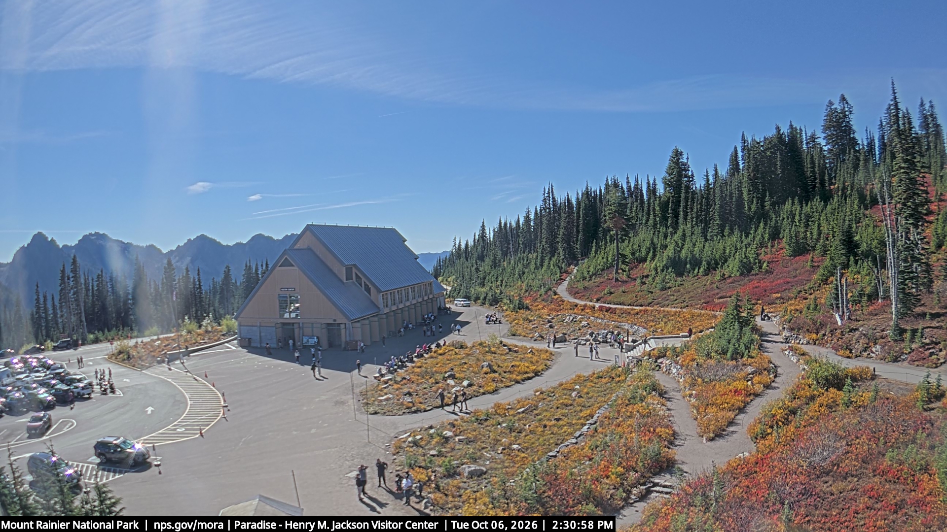 Jackson Visitor Center webcam frame at Paradise on Mount Rainier.