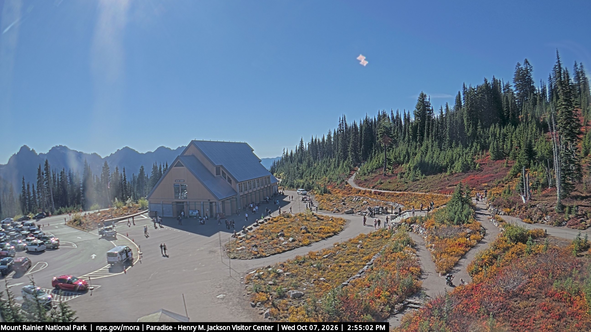 Jackson Visitor Center webcam frame at Paradise on Mount Rainier.