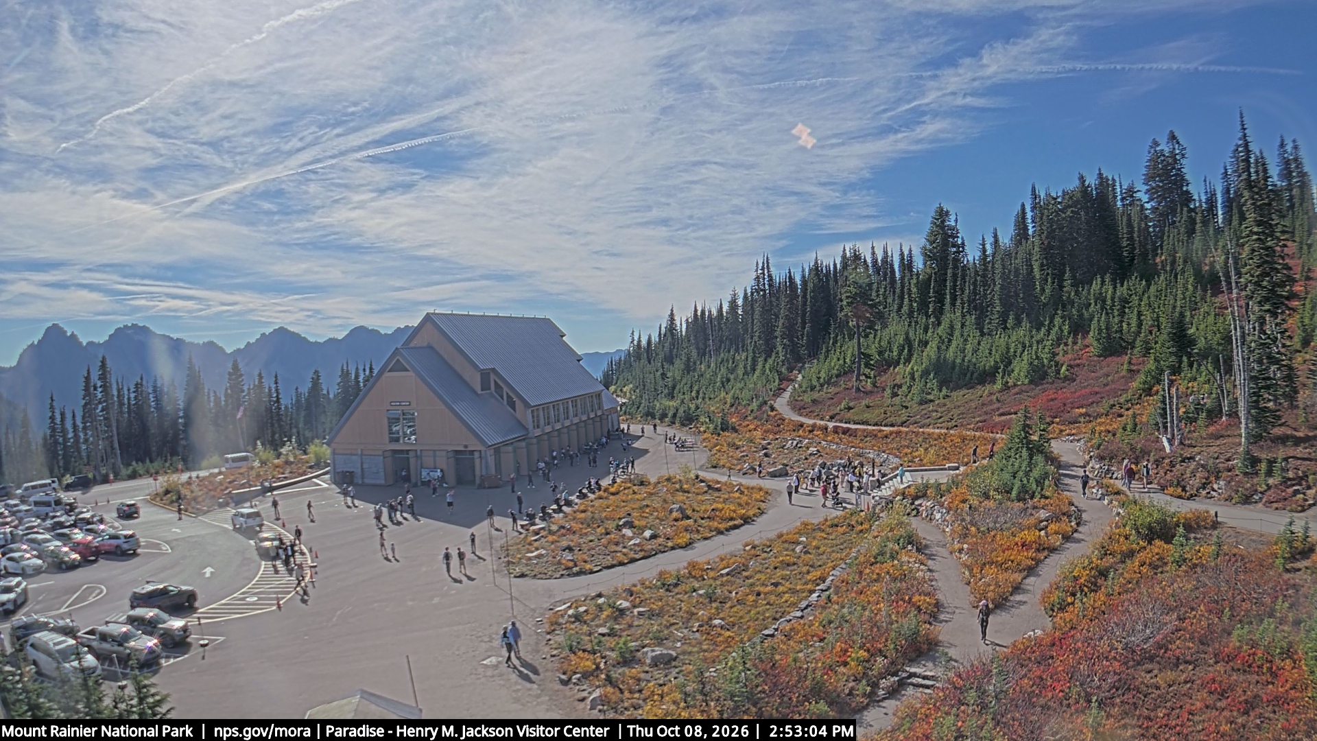 Jackson Visitor Center webcam frame at Paradise on Mount Rainier.