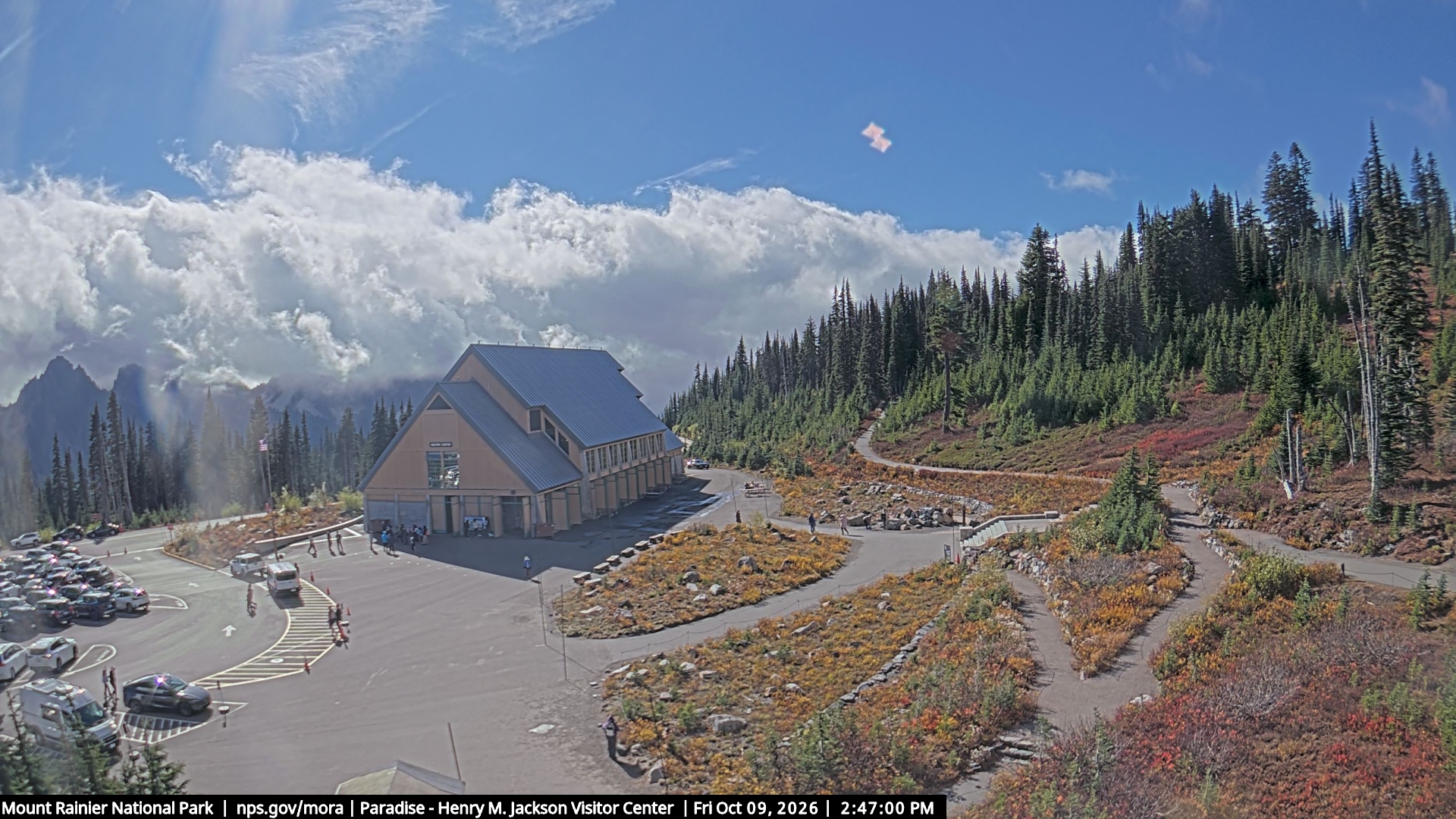 Jackson Visitor Center webcam frame at Paradise on Mount Rainier.