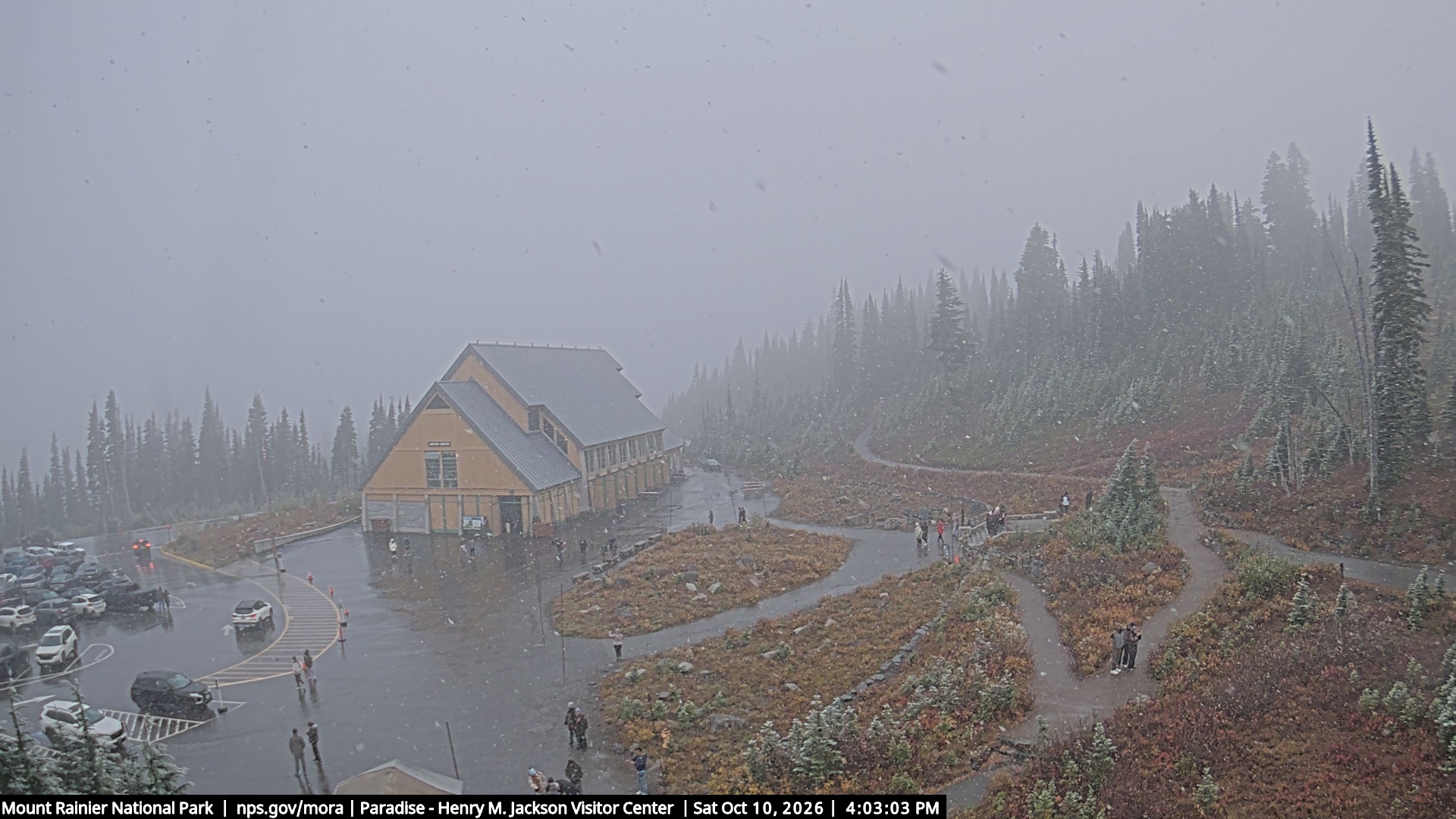 Jackson Visitor Center webcam frame at Paradise on Mount Rainier.