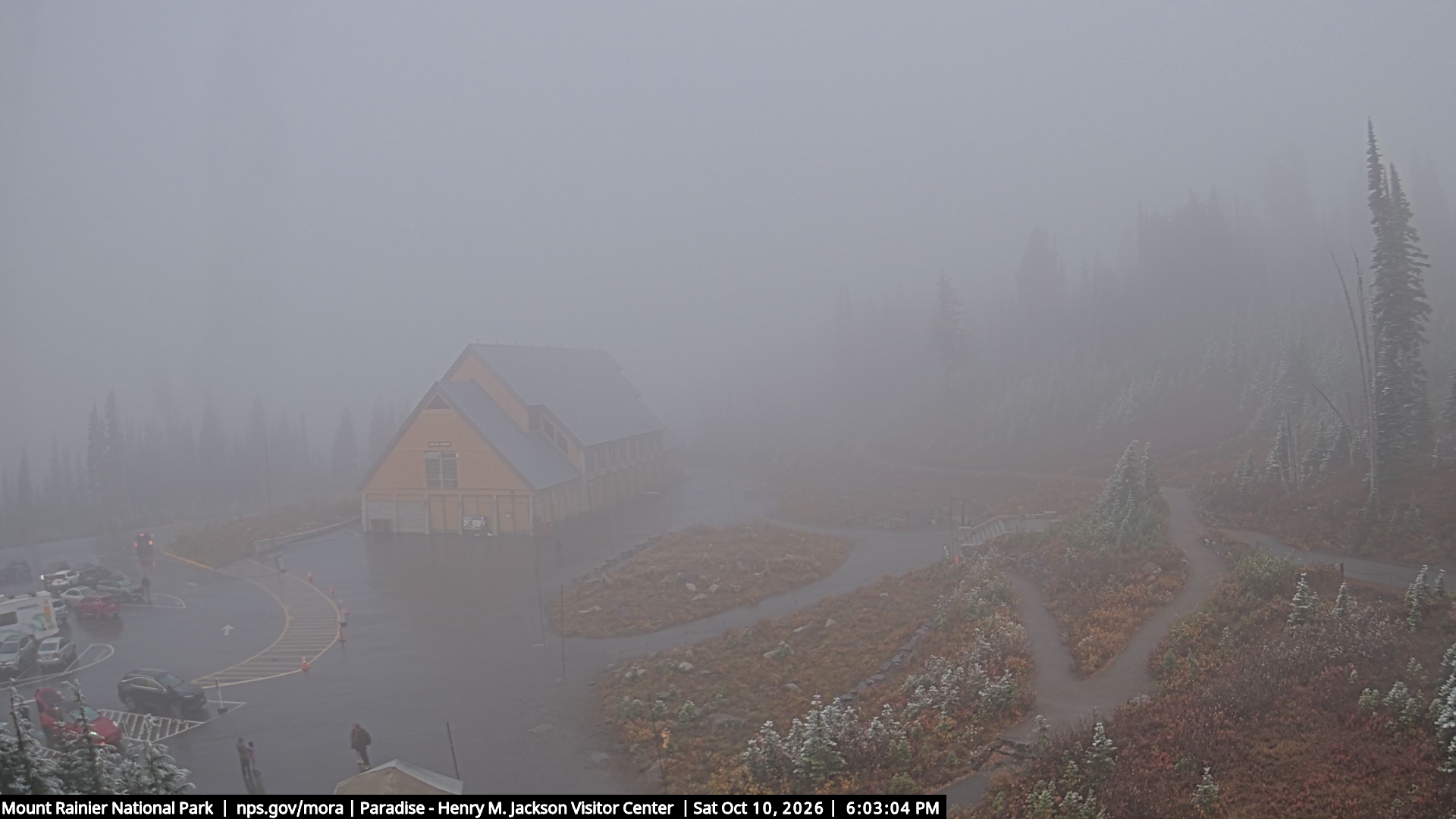Jackson Visitor Center webcam frame at Paradise on Mount Rainier.