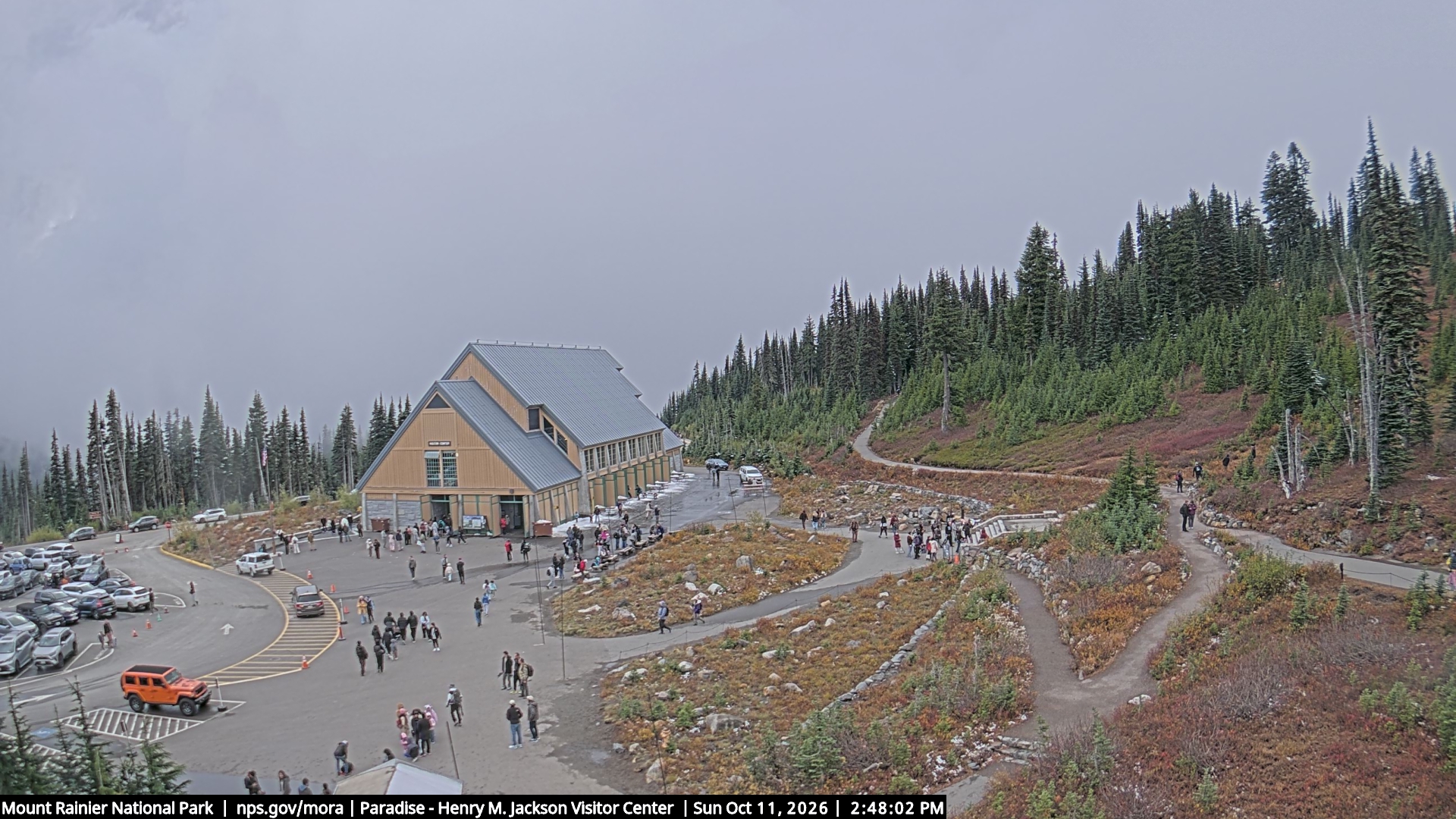 Jackson Visitor Center webcam frame at Paradise on Mount Rainier.
