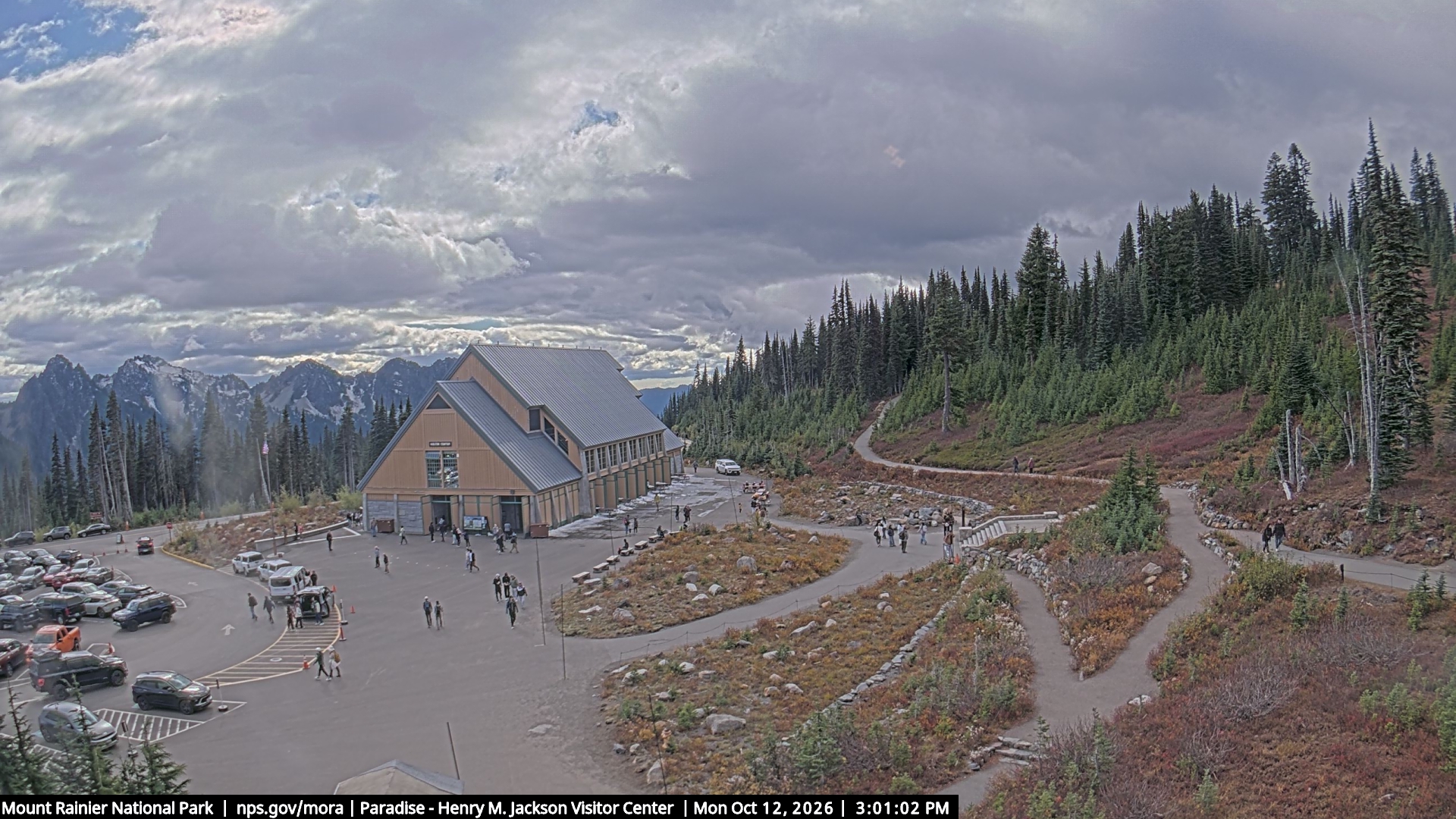 Jackson Visitor Center webcam frame at Paradise on Mount Rainier.