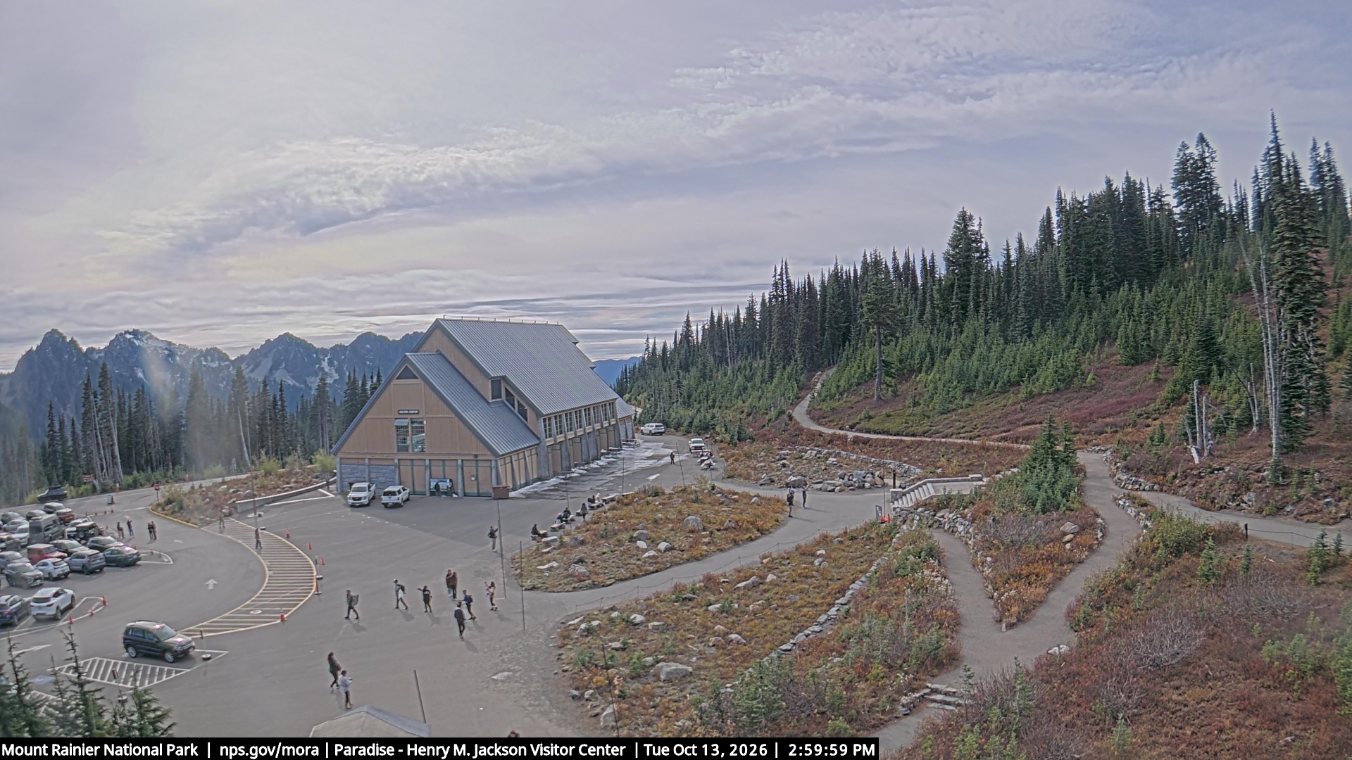 Jackson Visitor Center webcam frame at Paradise on Mount Rainier.