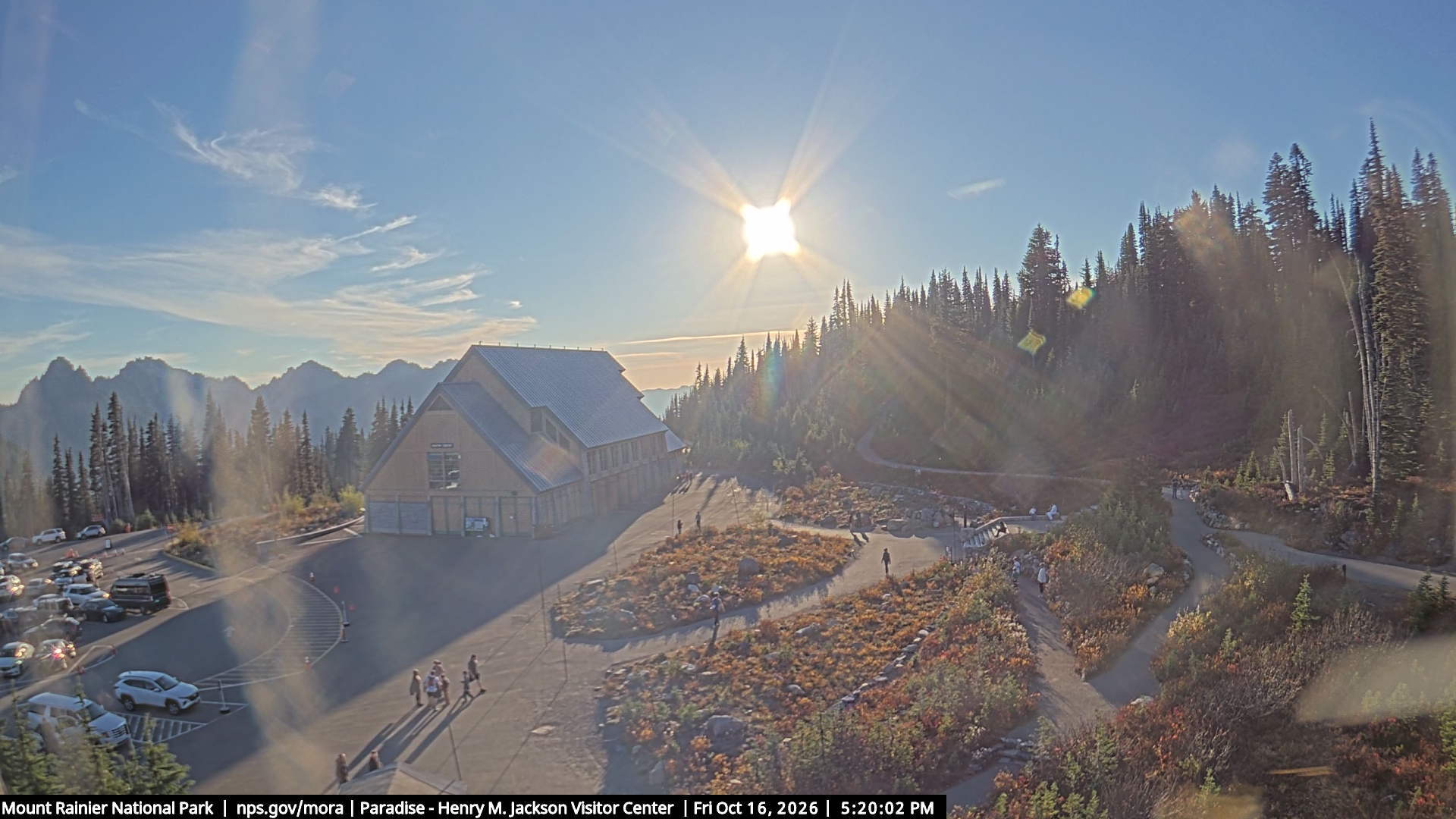 Jackson Visitor Center webcam frame at Paradise on Mount Rainier.