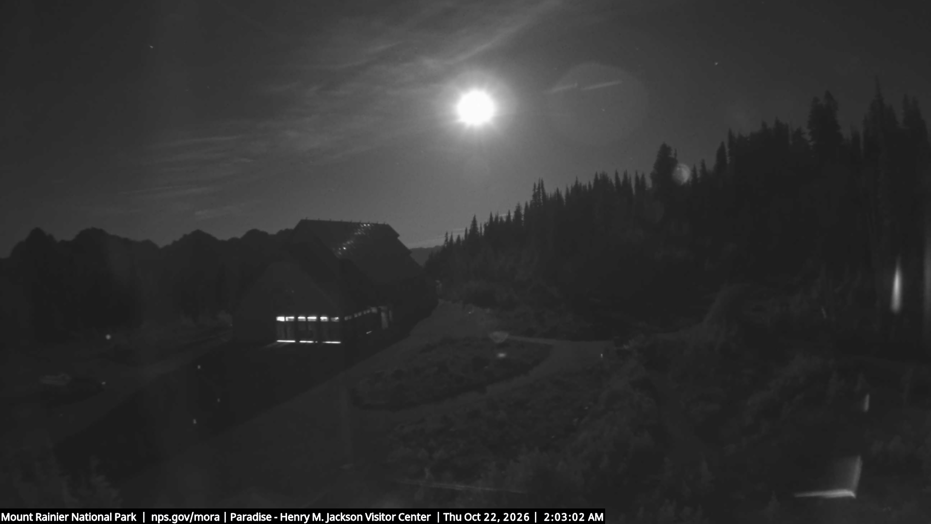 Jackson Visitor Center webcam frame at Paradise on Mount Rainier.