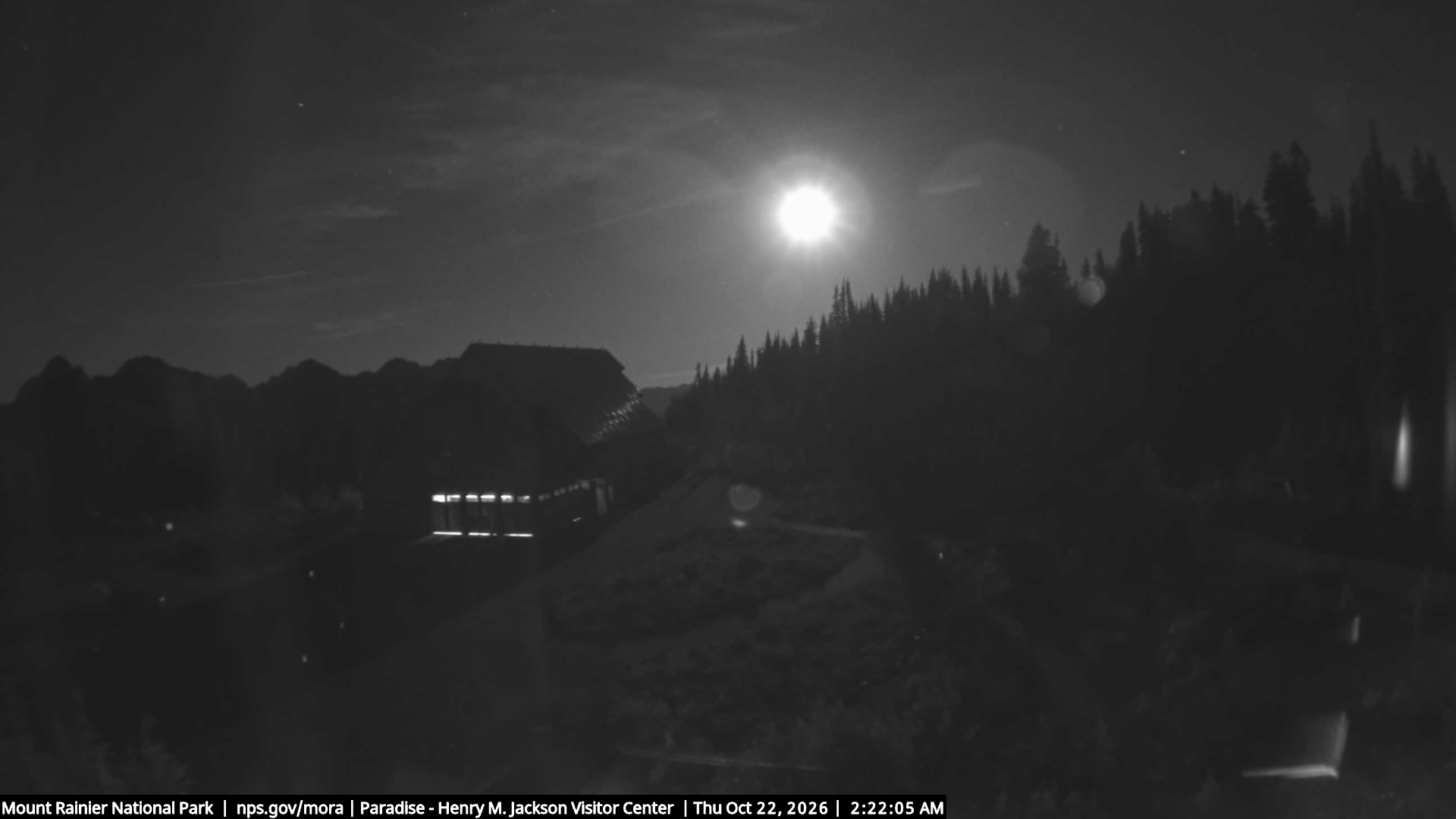 Jackson Visitor Center webcam frame at Paradise on Mount Rainier.