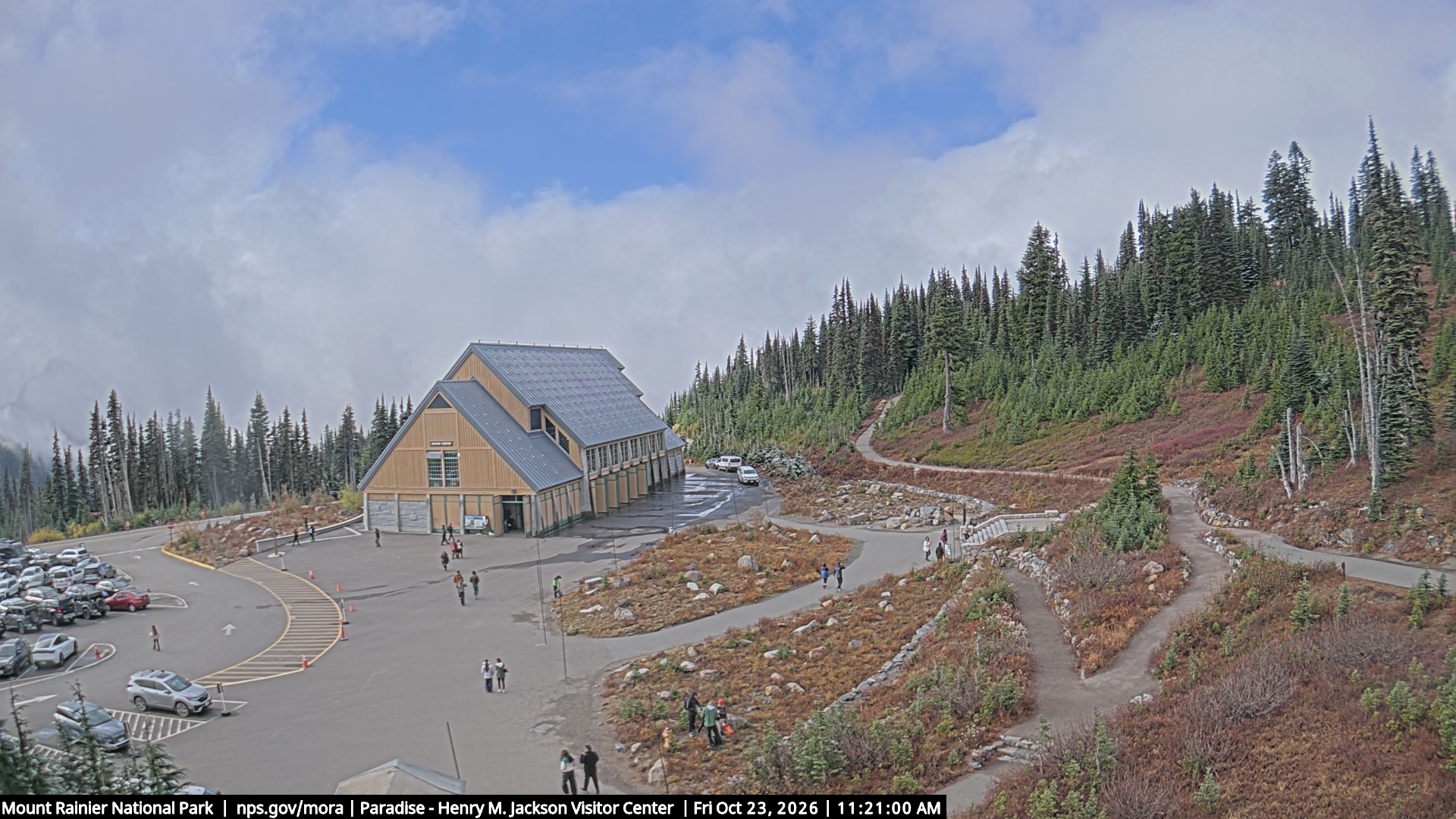 Jackson Visitor Center webcam frame at Paradise on Mount Rainier.