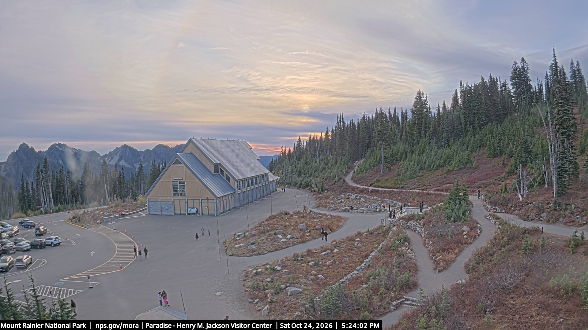 Jackson Visitor Center webcam frame at Paradise on Mount Rainier.