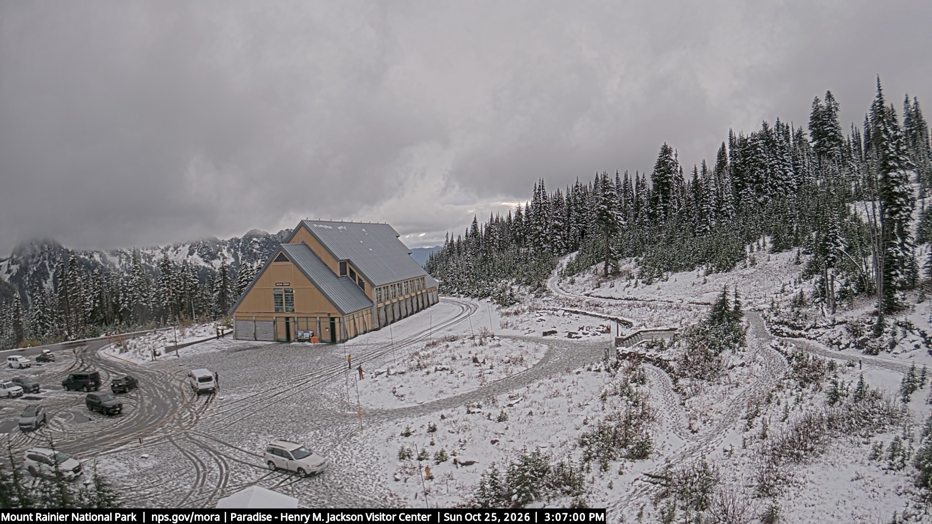 Jackson Visitor Center webcam frame at Paradise on Mount Rainier.