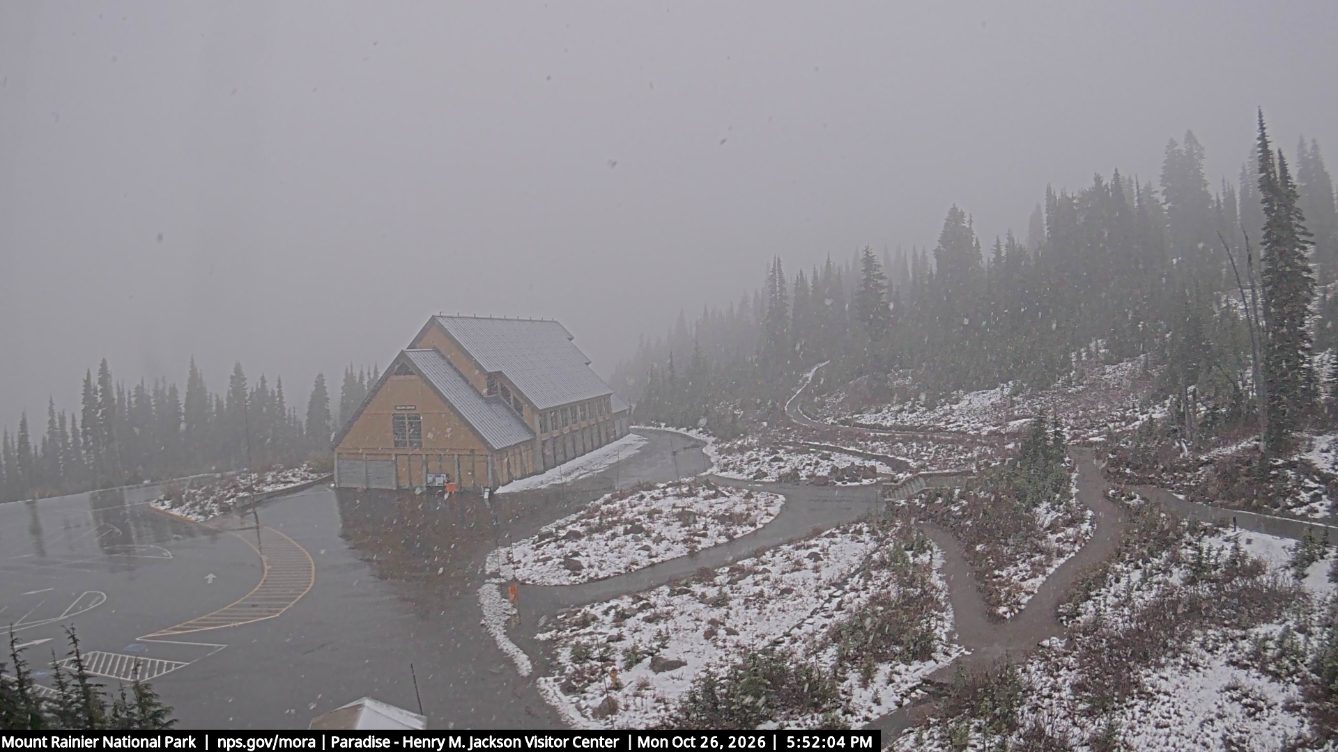 Jackson Visitor Center webcam frame at Paradise on Mount Rainier.