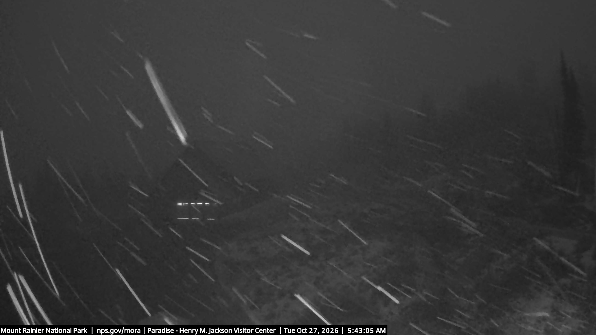 Jackson Visitor Center webcam frame at Paradise on Mount Rainier.