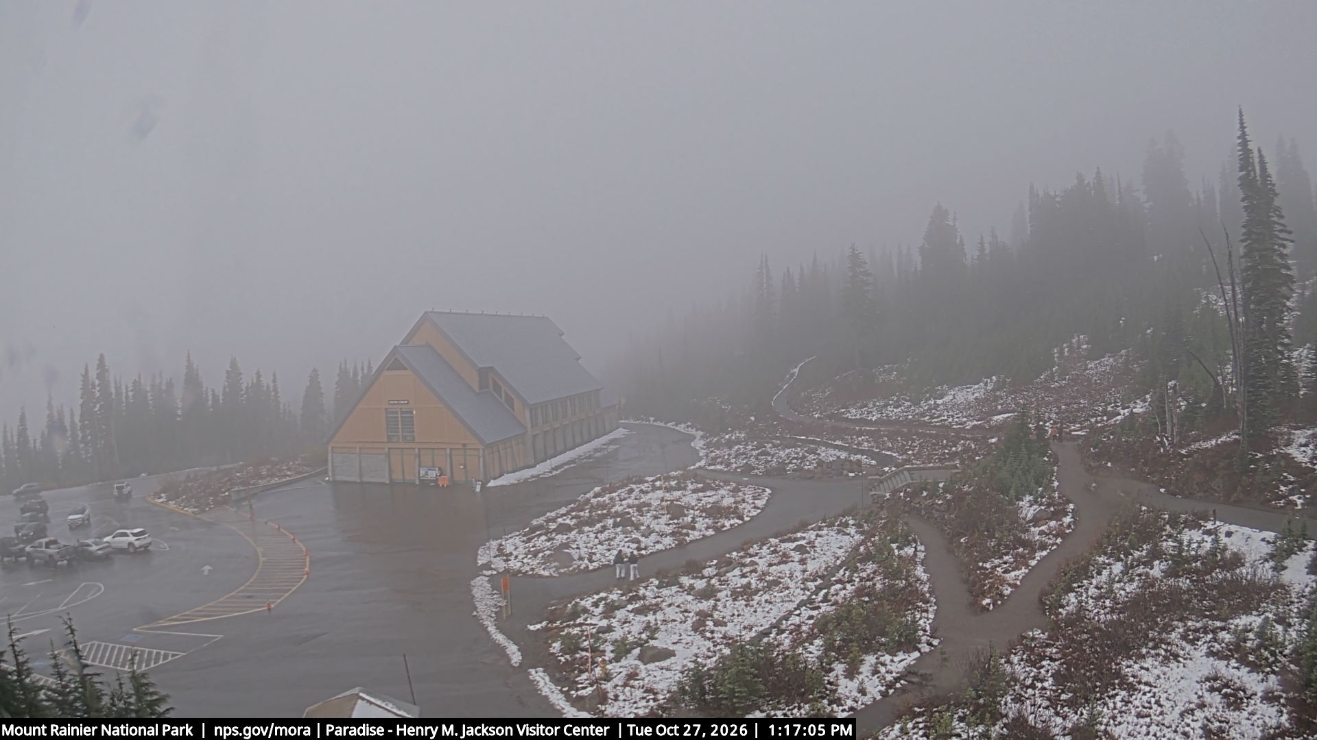Jackson Visitor Center webcam frame at Paradise on Mount Rainier.
