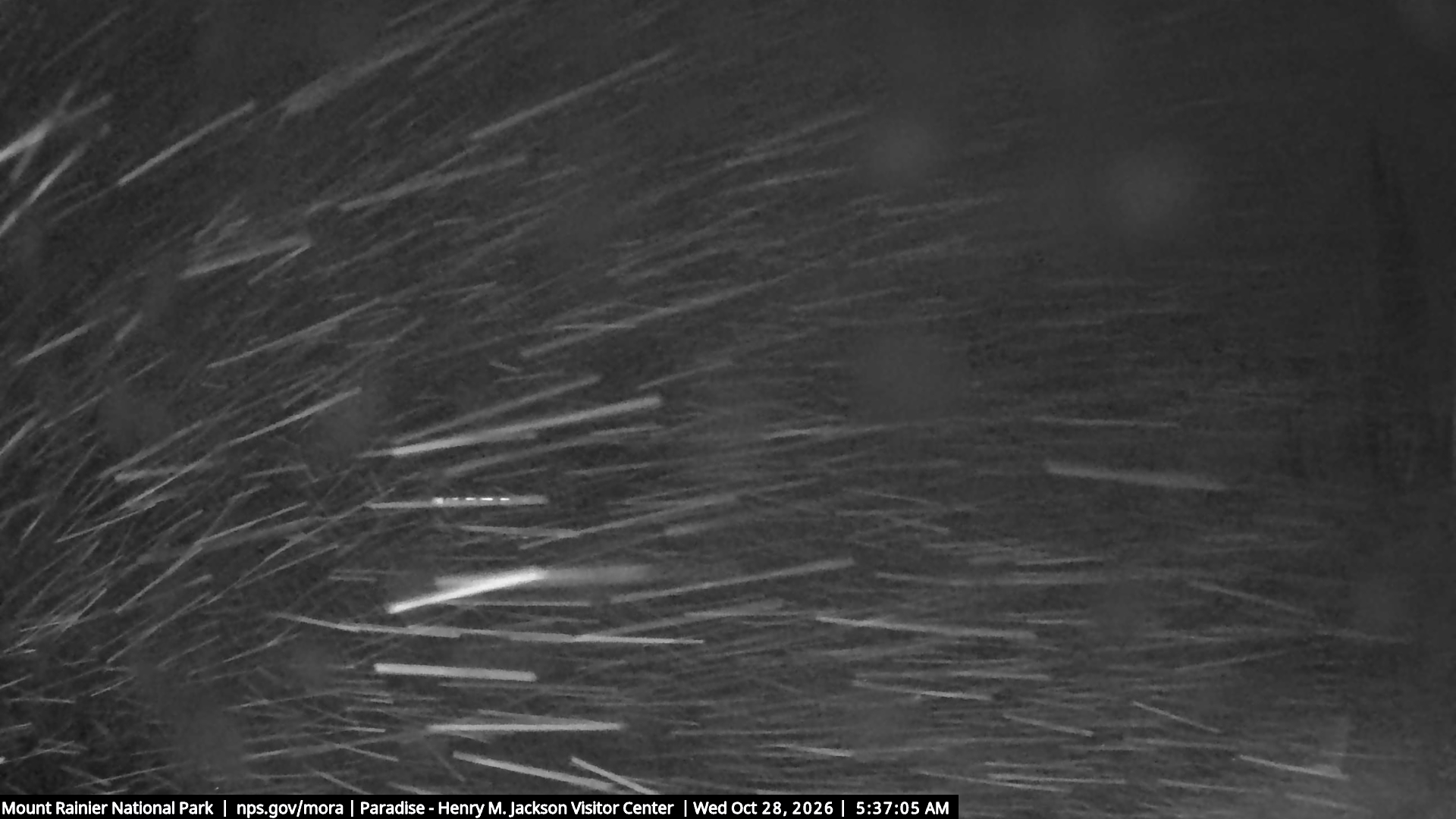 Jackson Visitor Center webcam frame at Paradise on Mount Rainier.