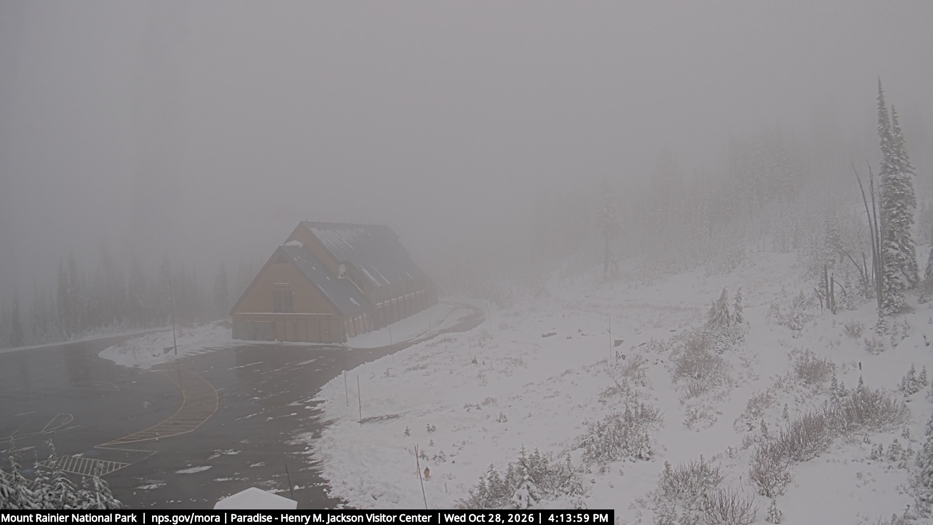 Jackson Visitor Center webcam frame at Paradise on Mount Rainier.