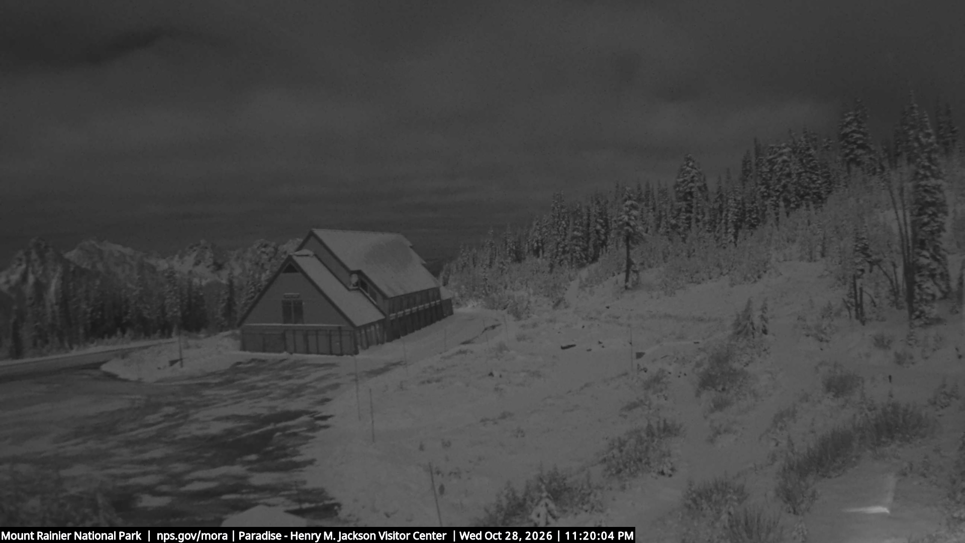 Jackson Visitor Center webcam frame at Paradise on Mount Rainier.
