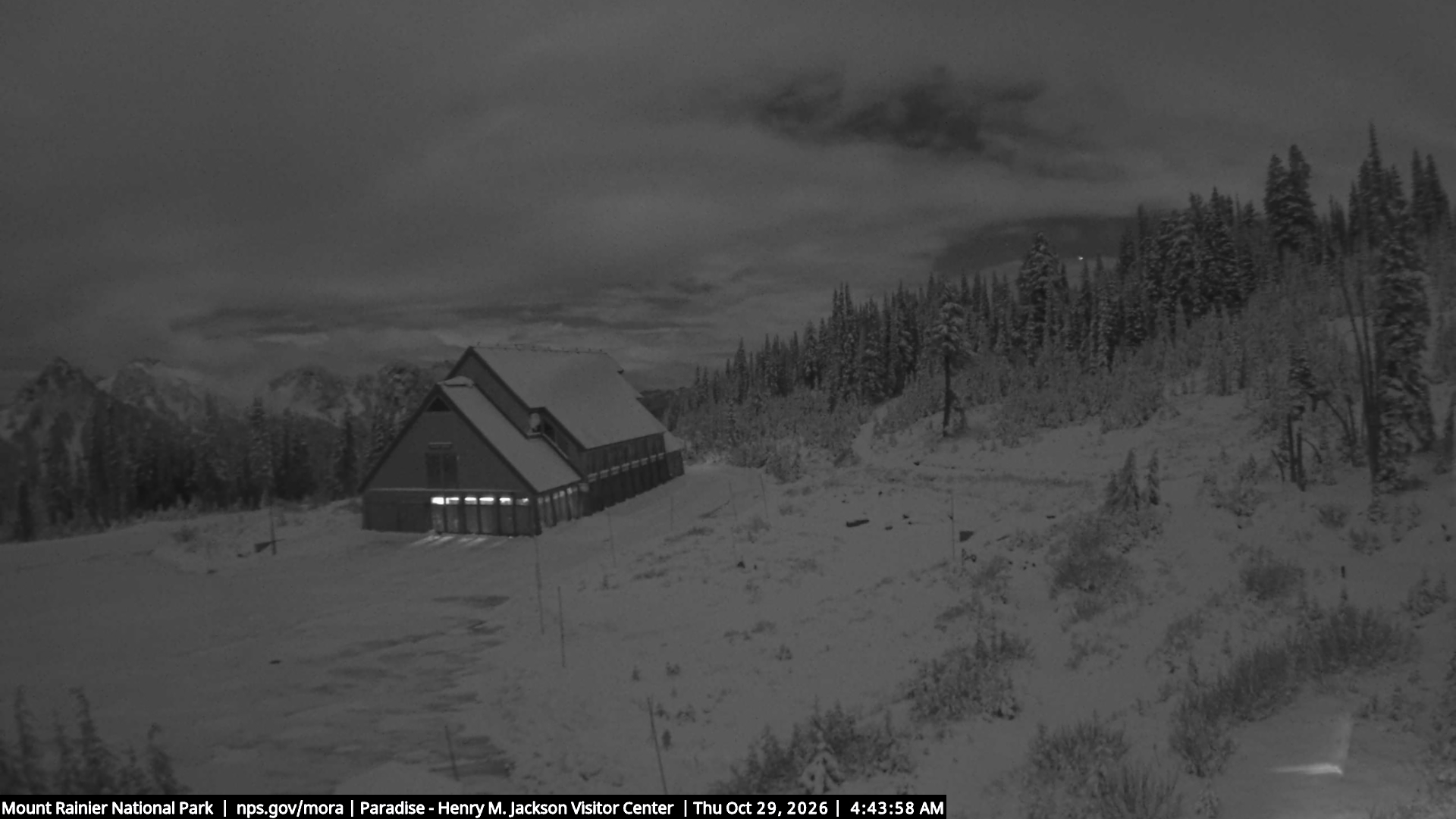 Jackson Visitor Center webcam frame at Paradise on Mount Rainier.
