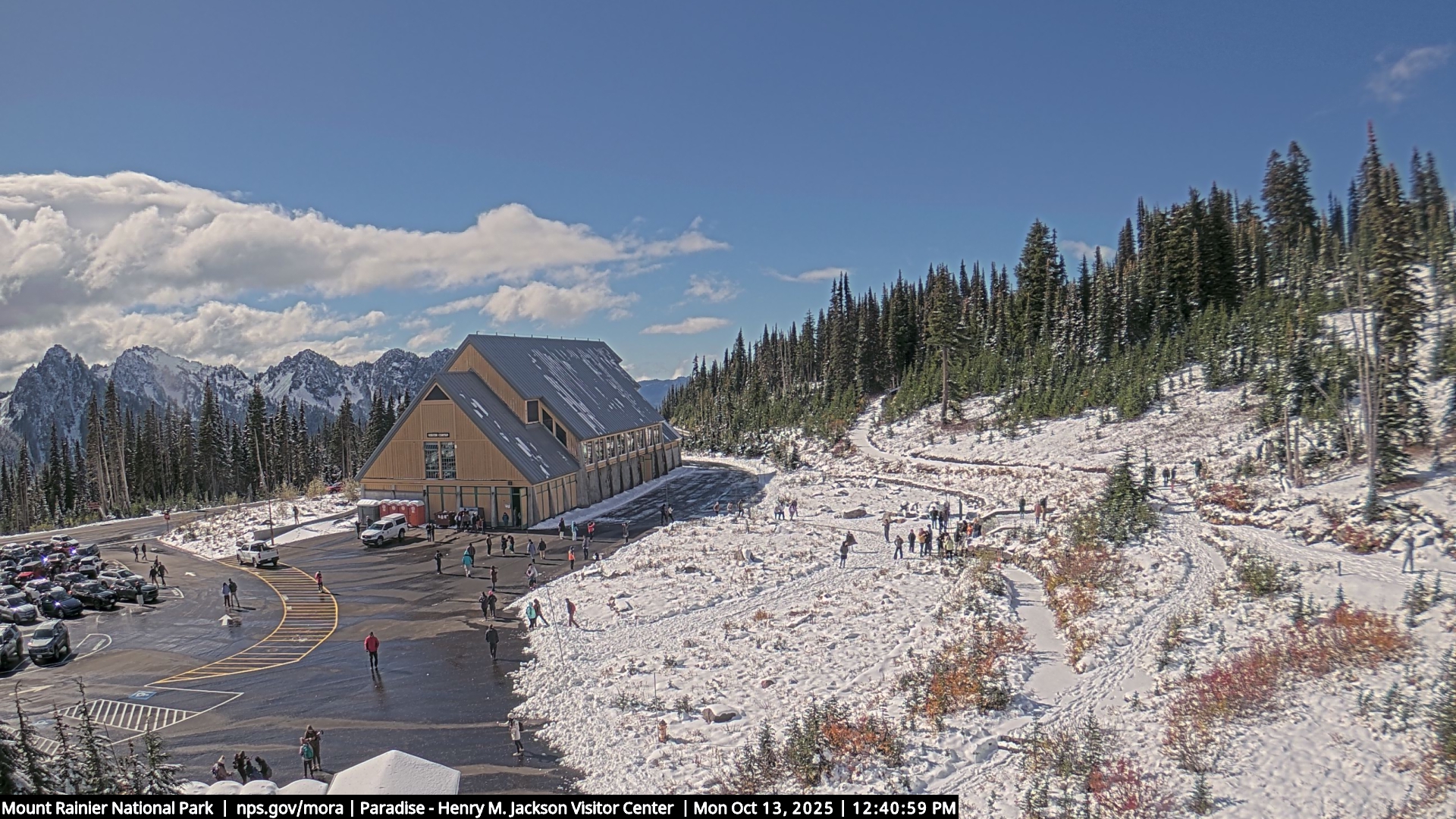 Paradise Meadows & Skyline Trailhead – Live