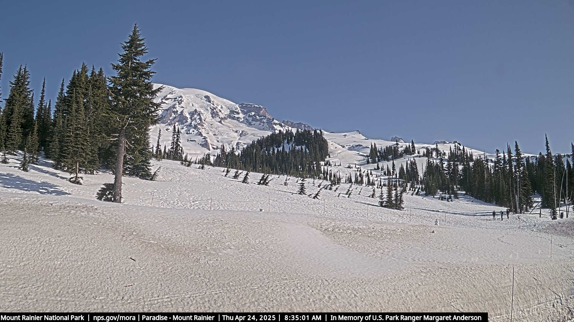 Rainier Summit View - Mount Rainier National Park, WA