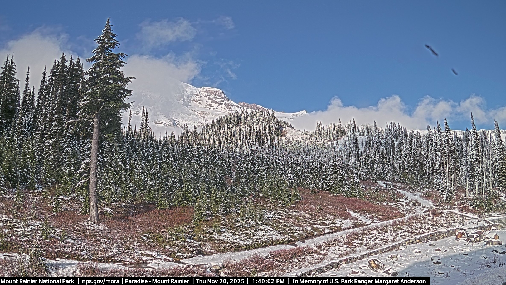 Web camera for Paradise - Mountain