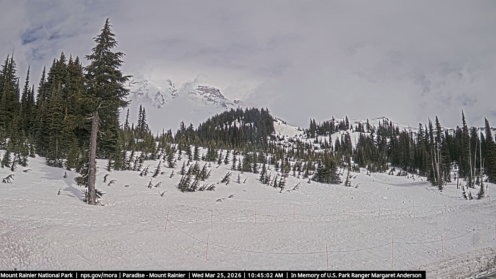 Mountain View - Mount Rainier live view