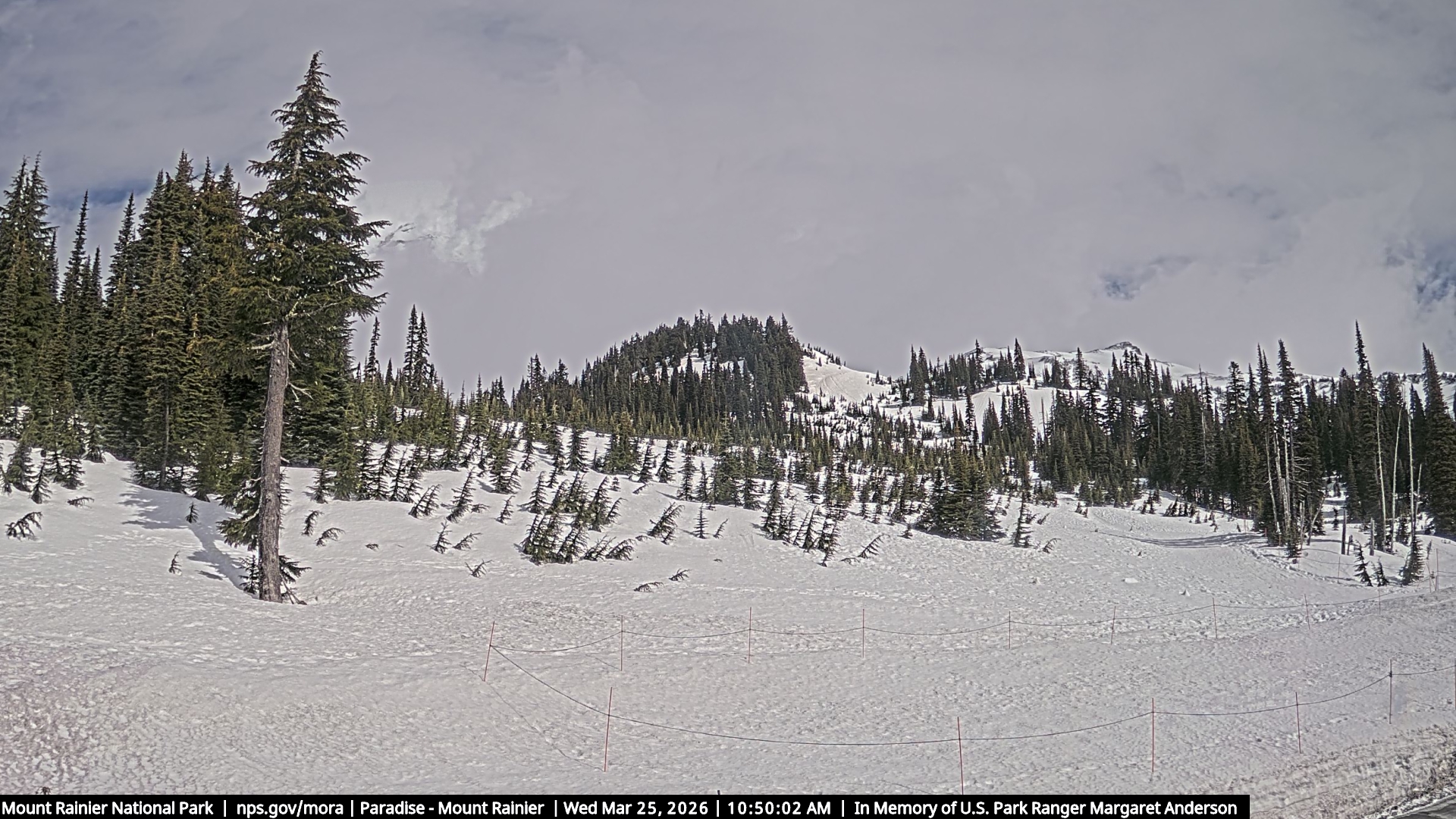 Mountain View - Mount Rainier live view