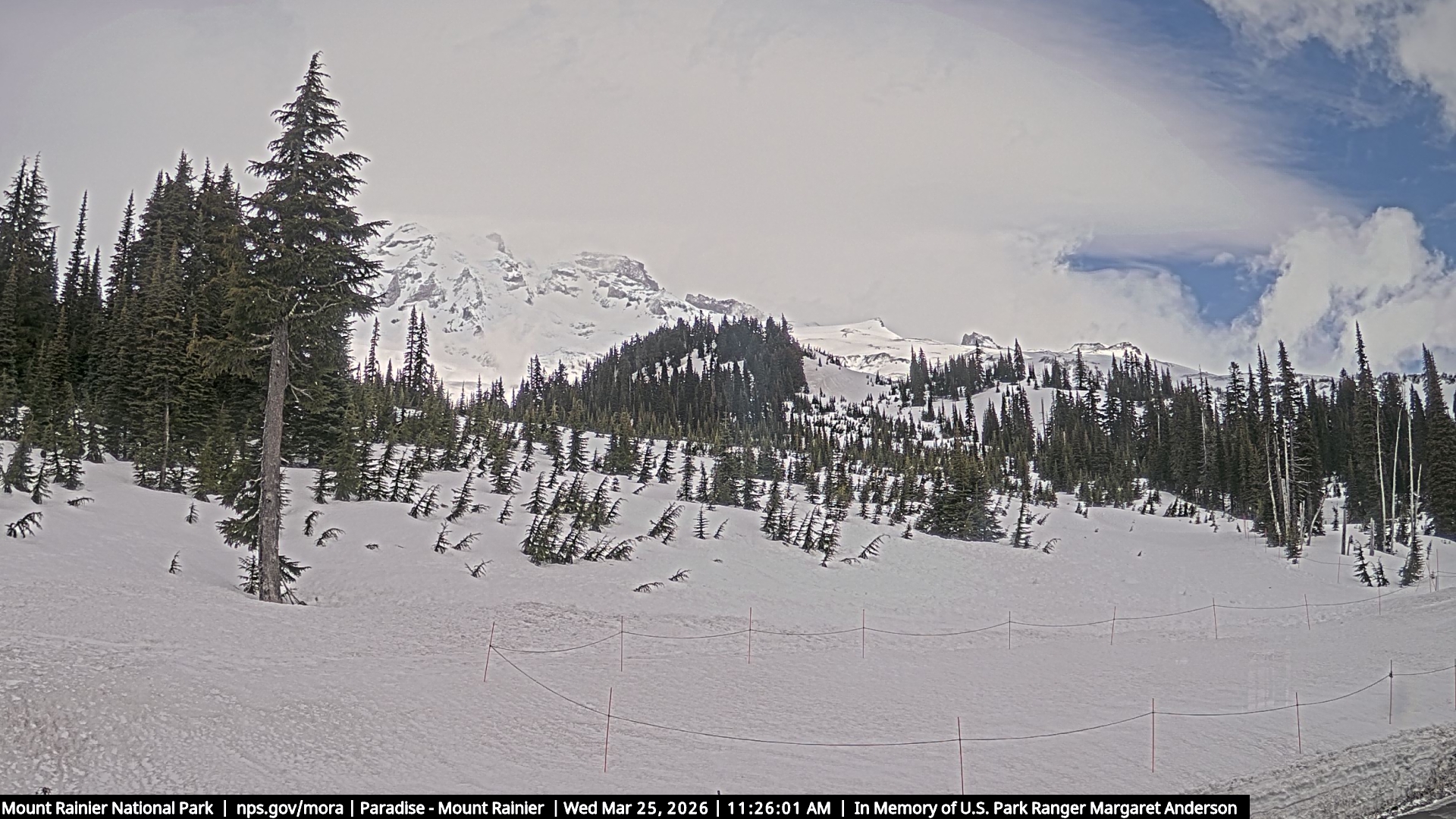 Mountain View - Mount Rainier live view