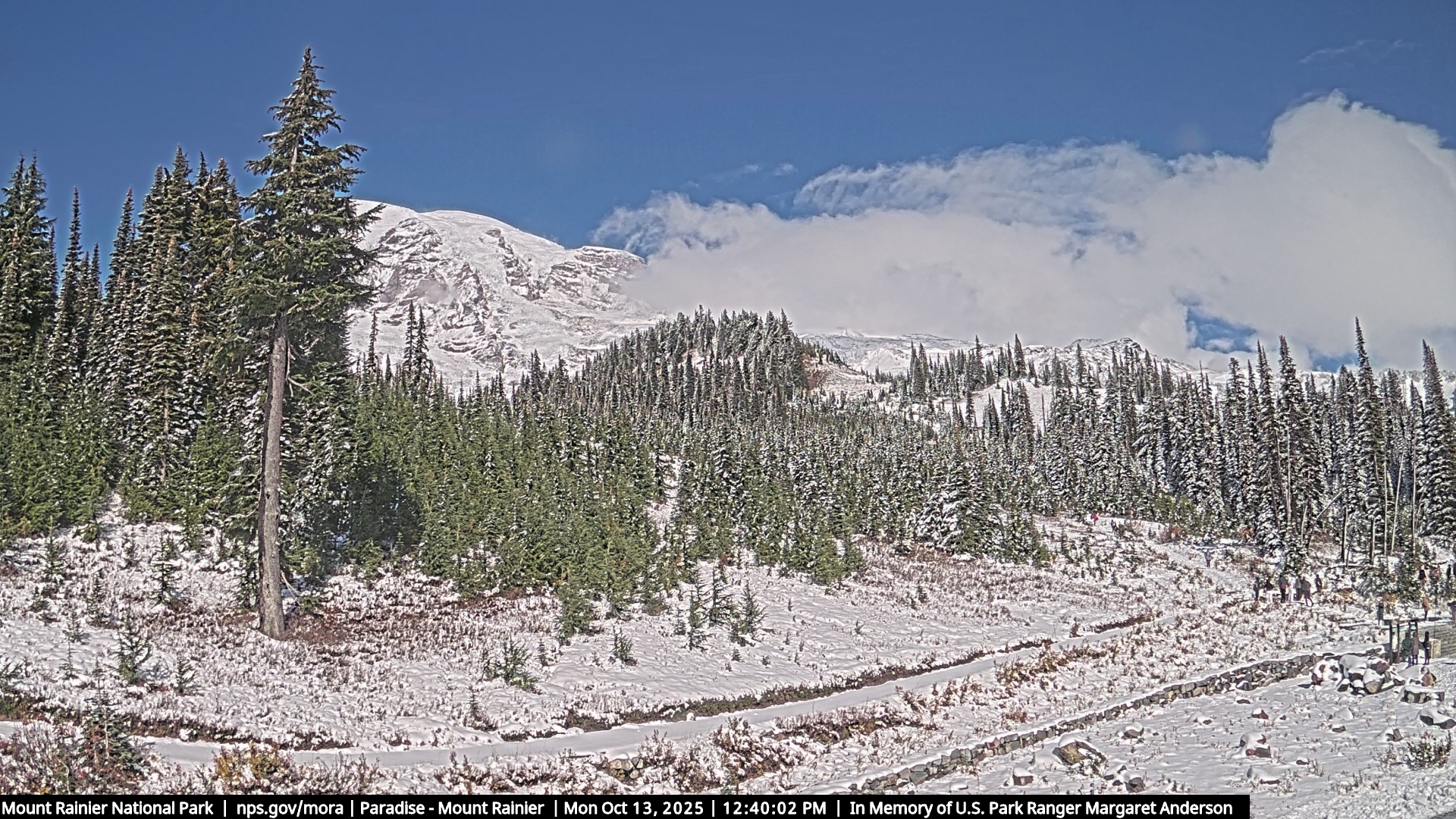 Mount Rainier Cam